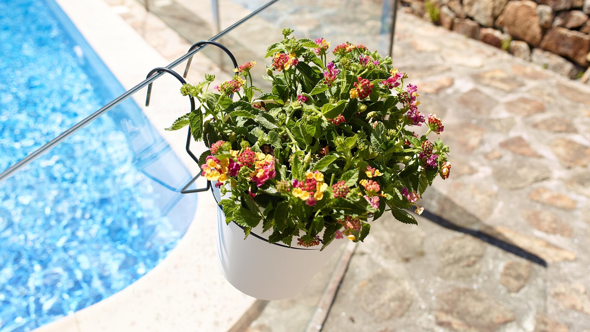 Suporte de vaso parar varanda d14 cm 14,7x16,5 cm preto - 3