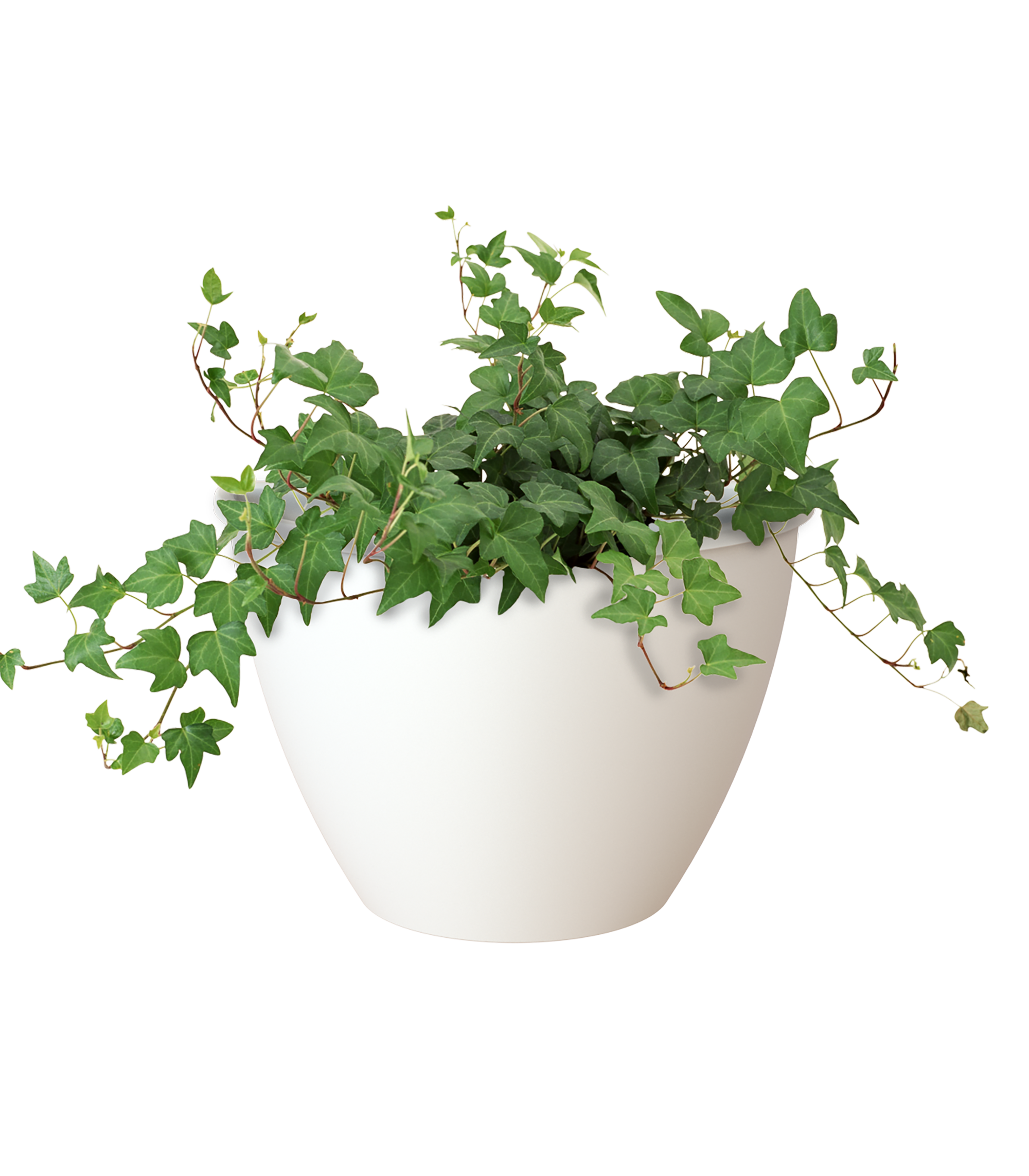 Maceta pared algarve blanco 30,8x16,5x23,5cm