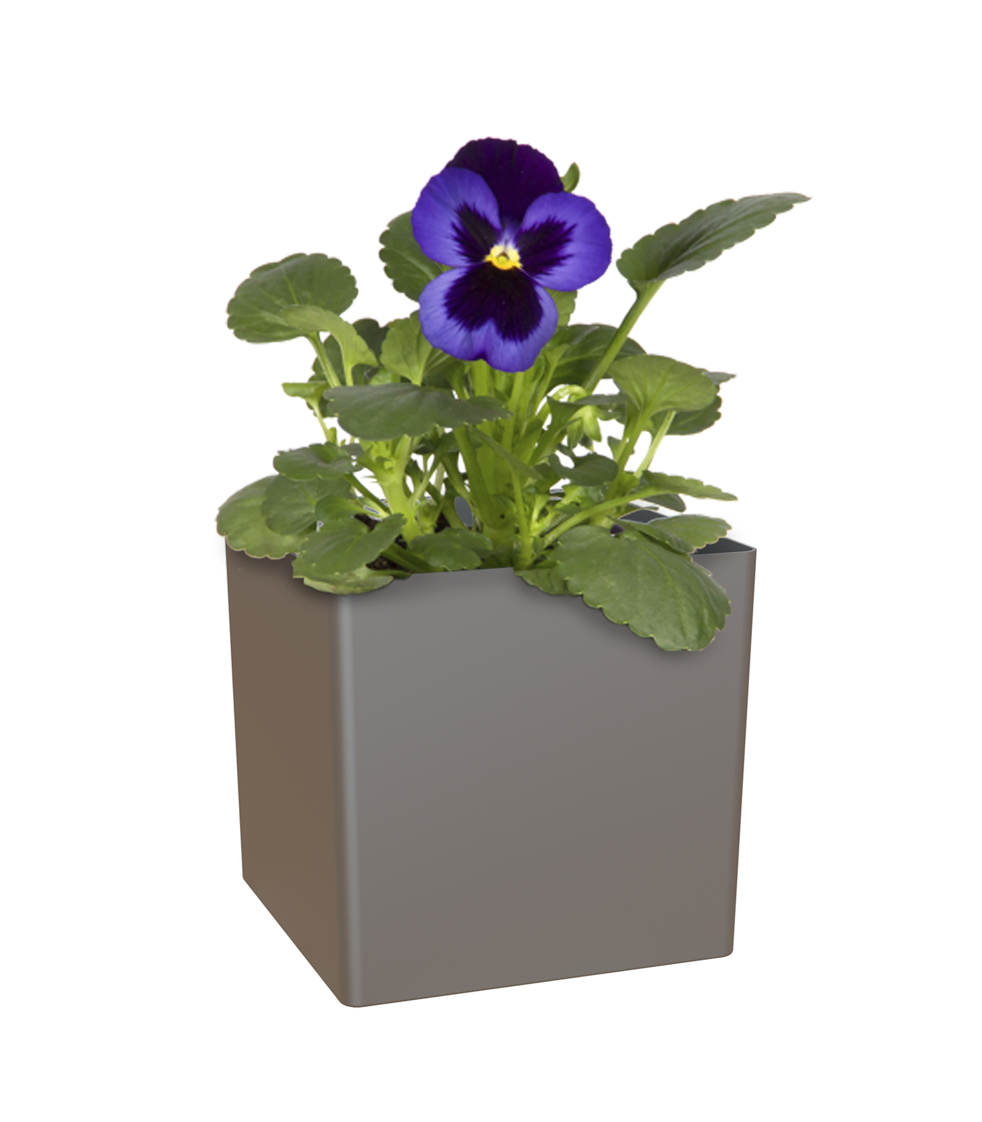 Vaso Cubo ARTEVASI in polipropilene antracite H 13.5 x ø 13.5 cm - 8