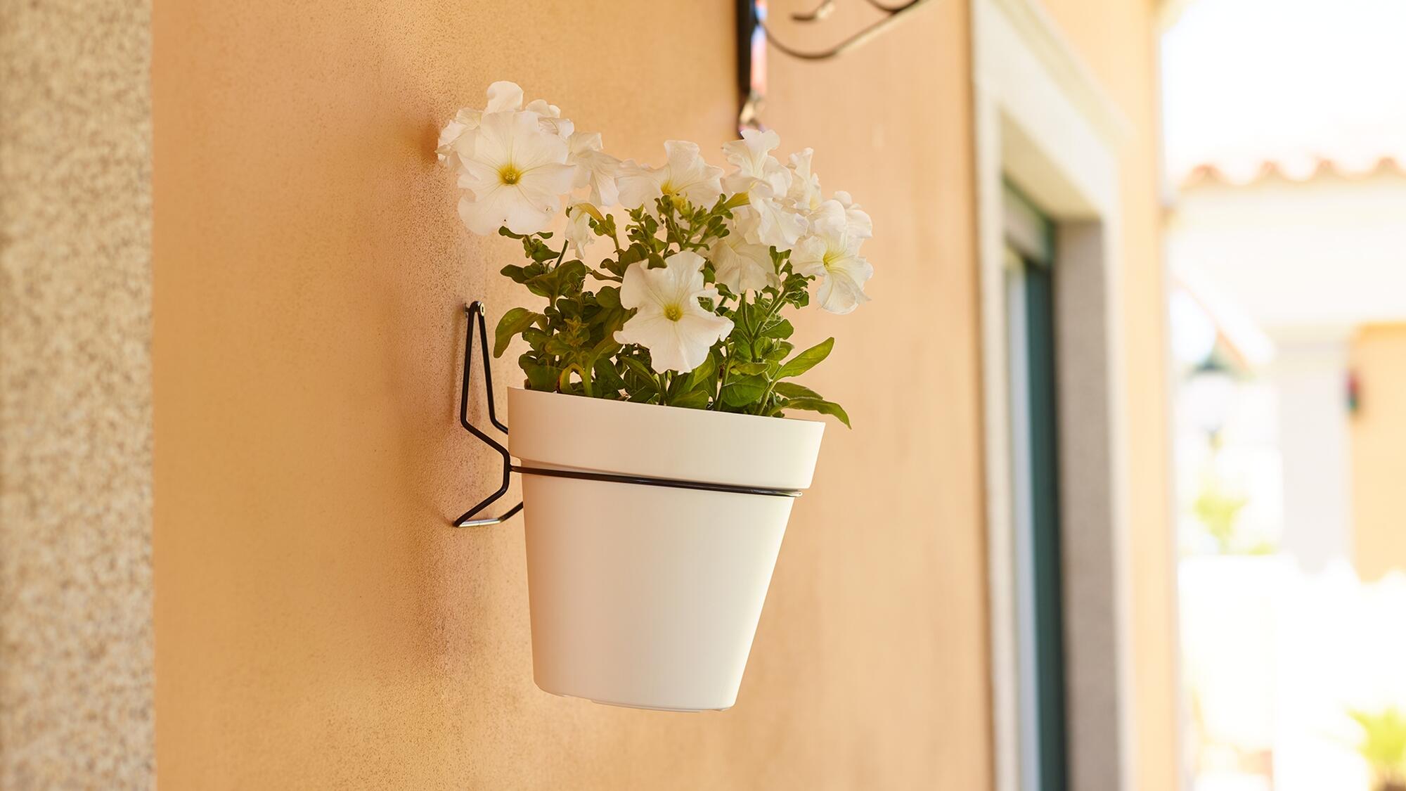 Suporte de vaso para parede d14 cm 14x14 cm  preto - 3