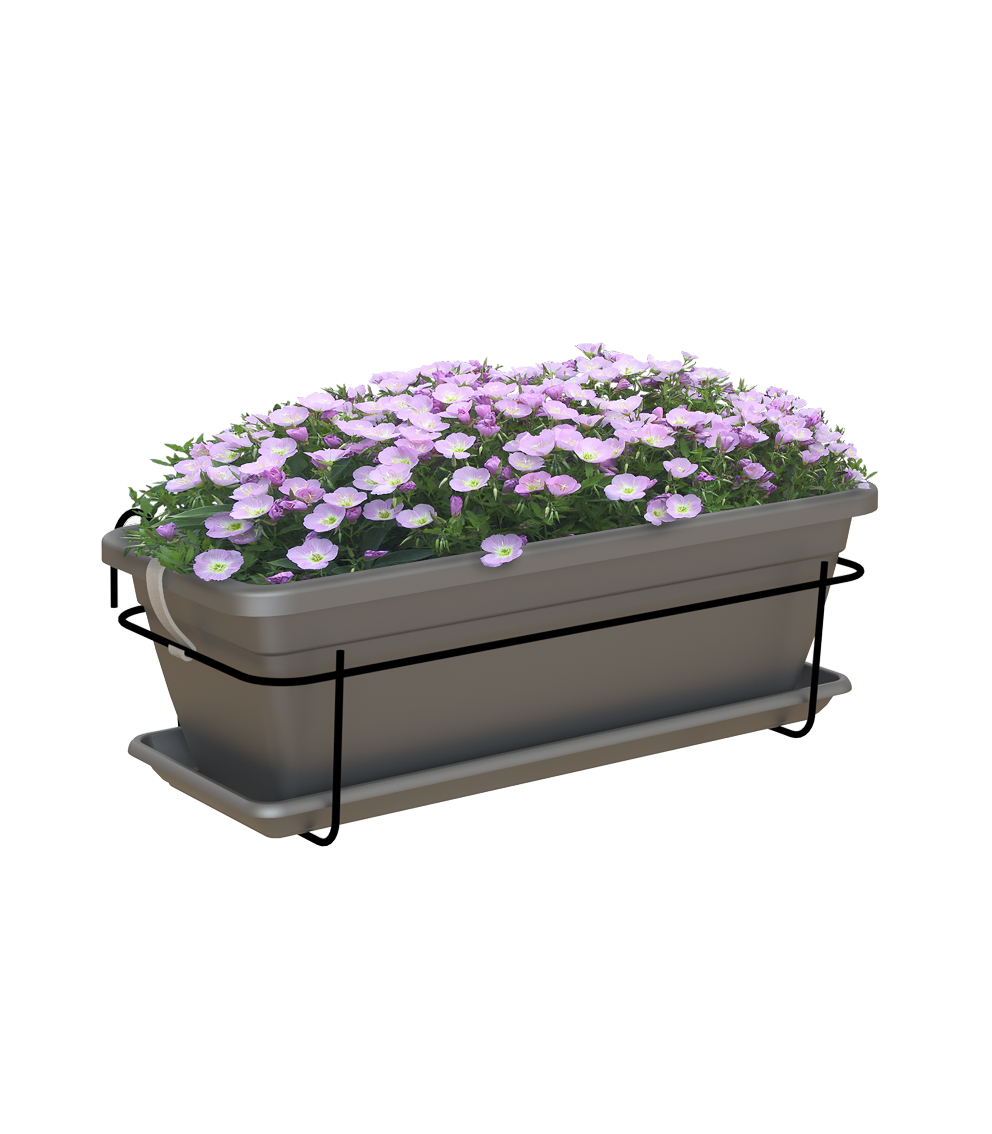 Kit jardinera y plato VENEZIA antracita 40x19,5x16,3cm - 3