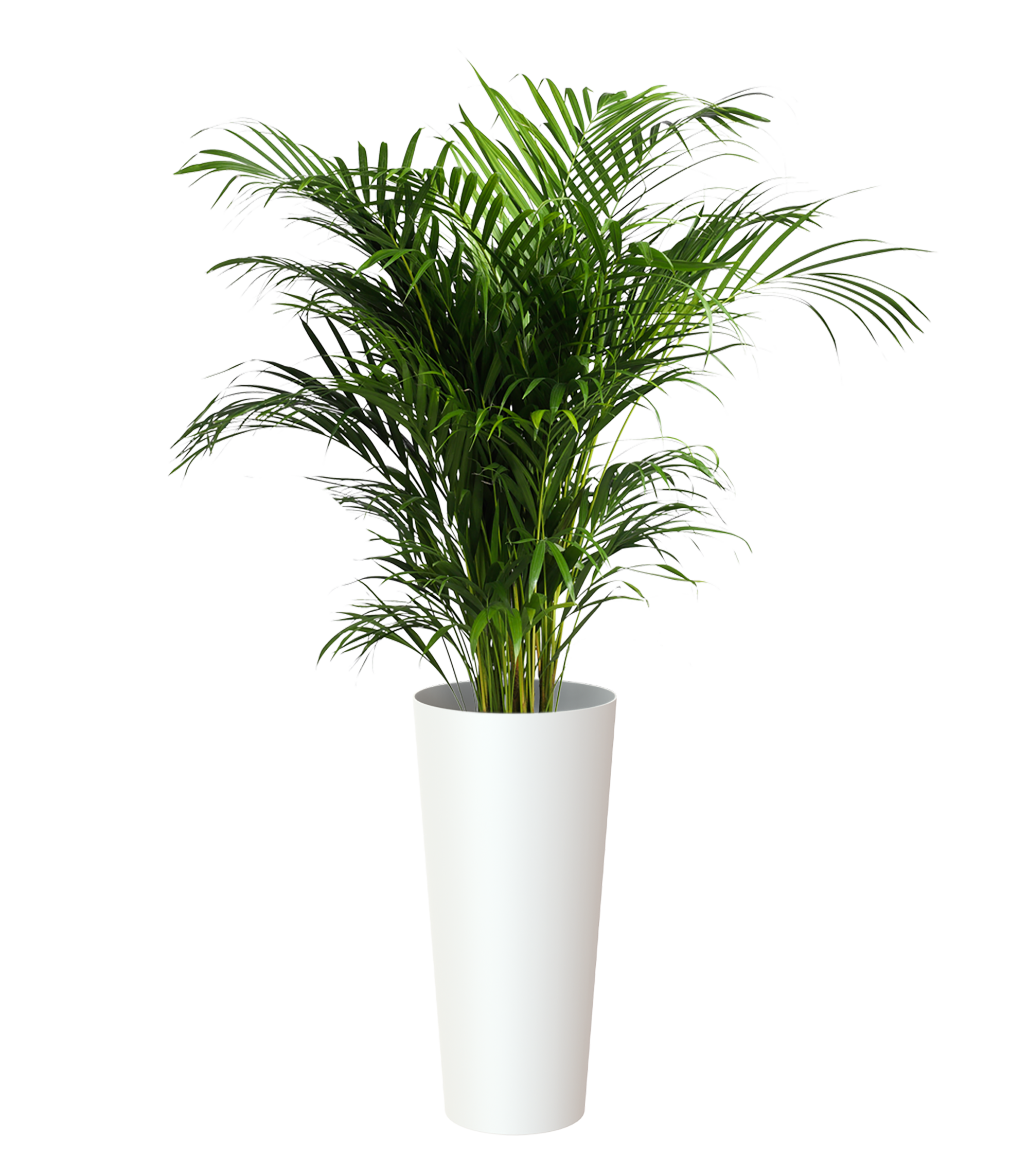 Vaso de plástico PORTO ALTO 80CM MATE BRANCO - 2