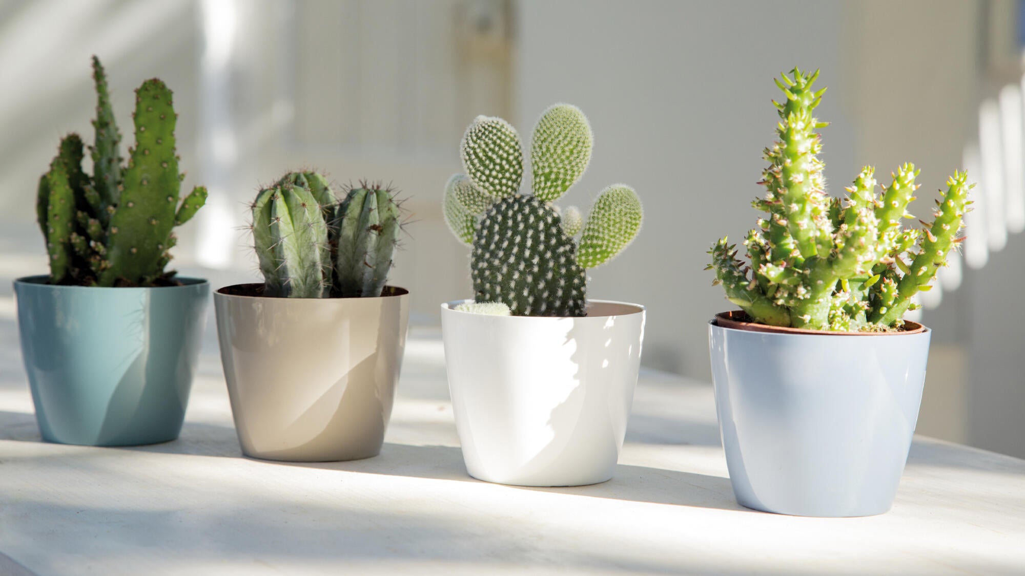 Vaso Sanremo ARTEVASI in polipropilene antracite H 7.5 x ø 9 cm - 5