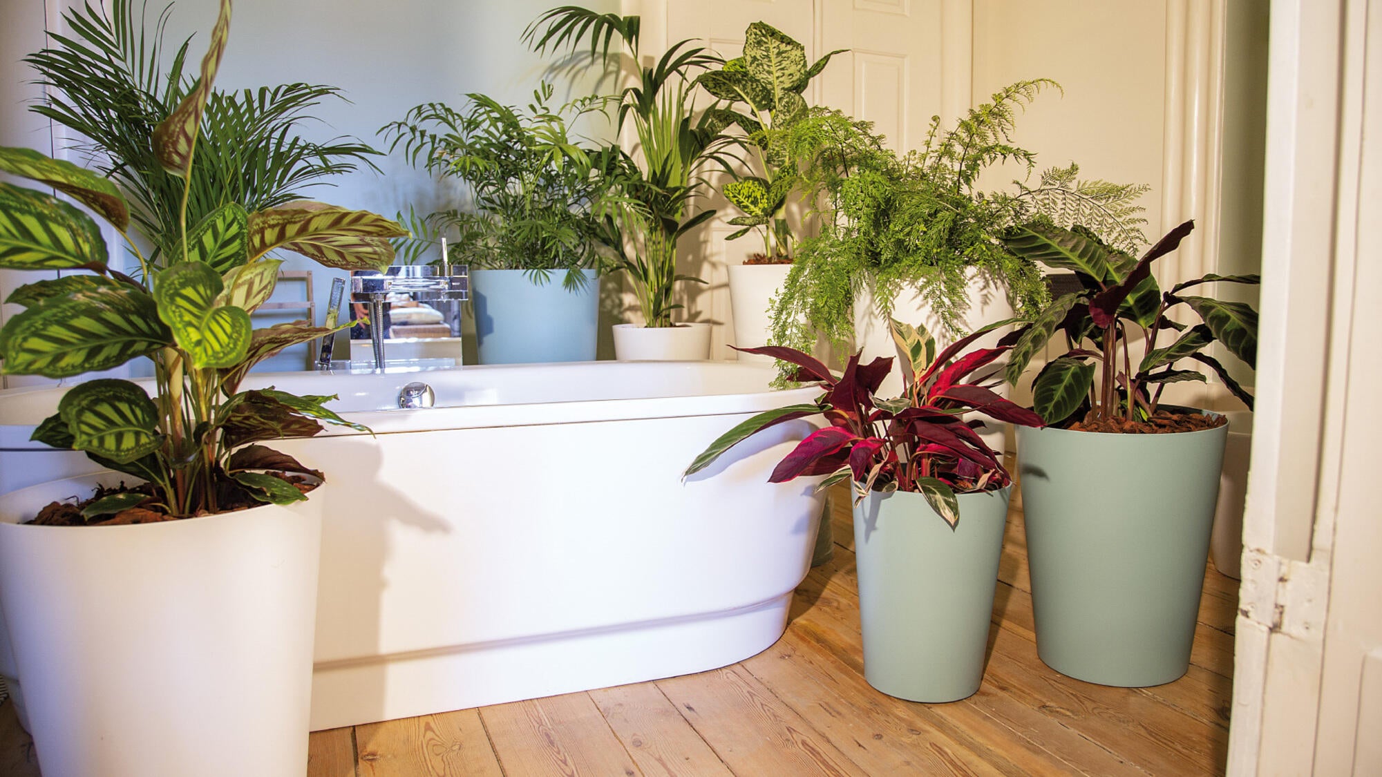 Vaso de resina PORTO ALTO 80CM VERDE SECO - 7