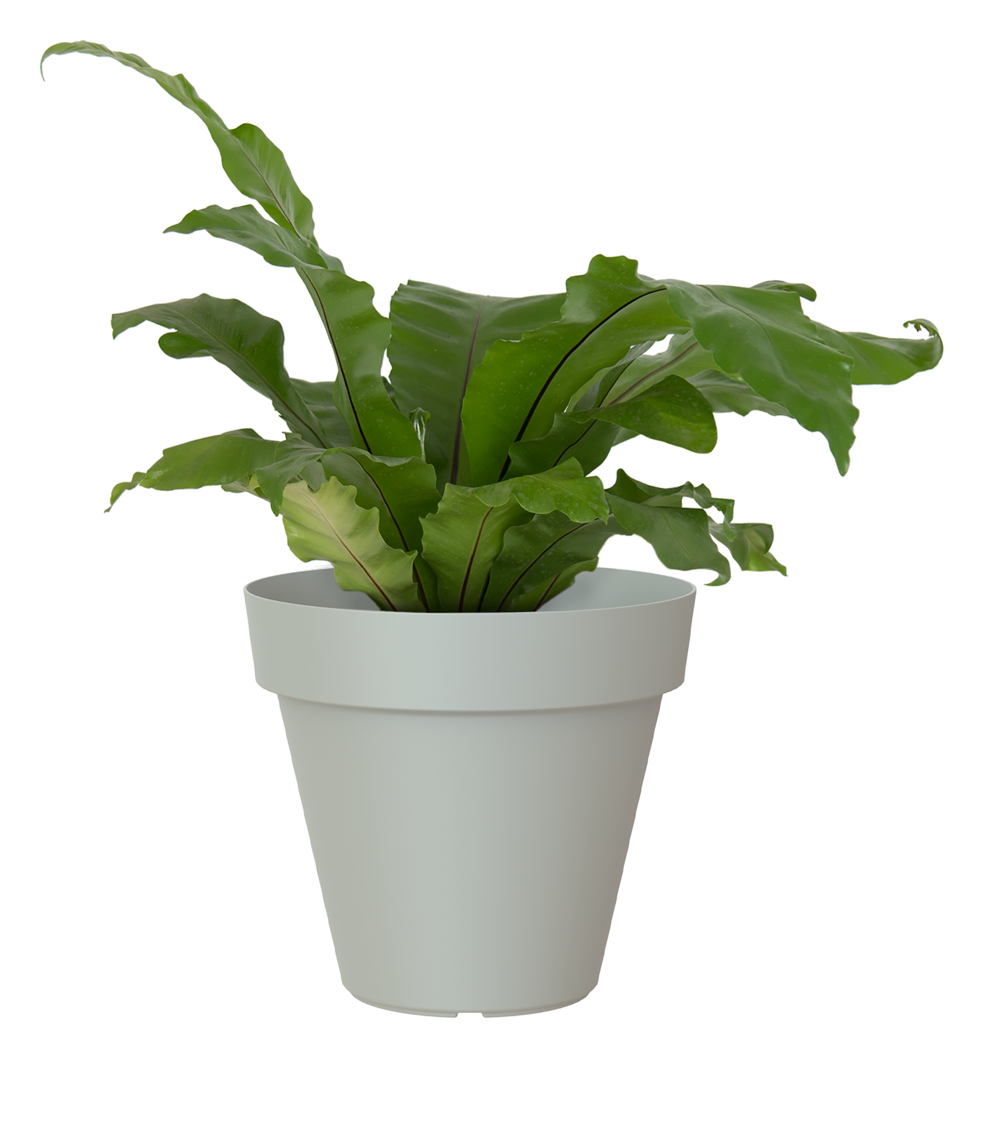 Vaso de resina CAPRI 80CM CINZA CLARO - 2