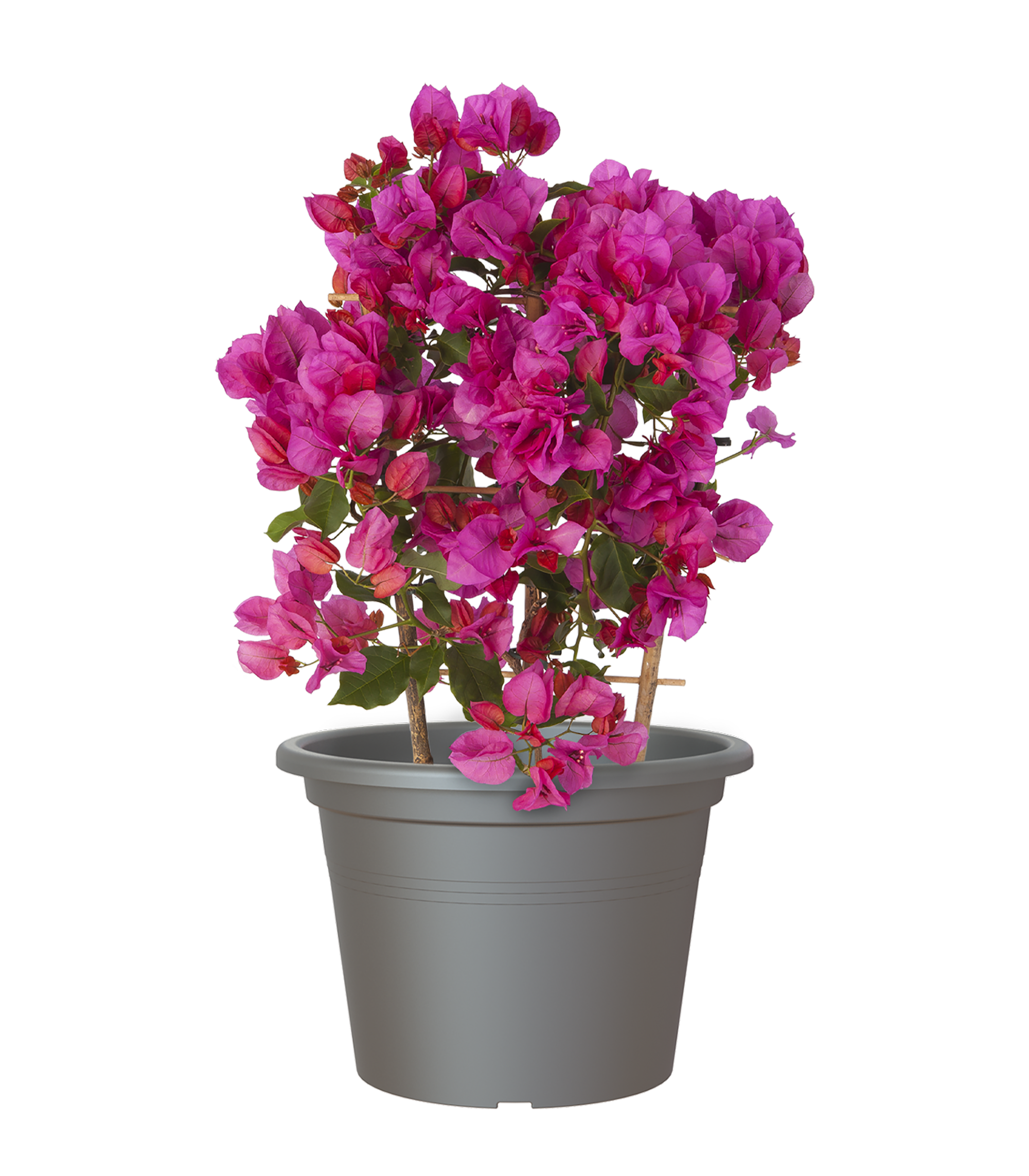 Vaso de resina CILINDRO D30CM ANTRACITE - 10