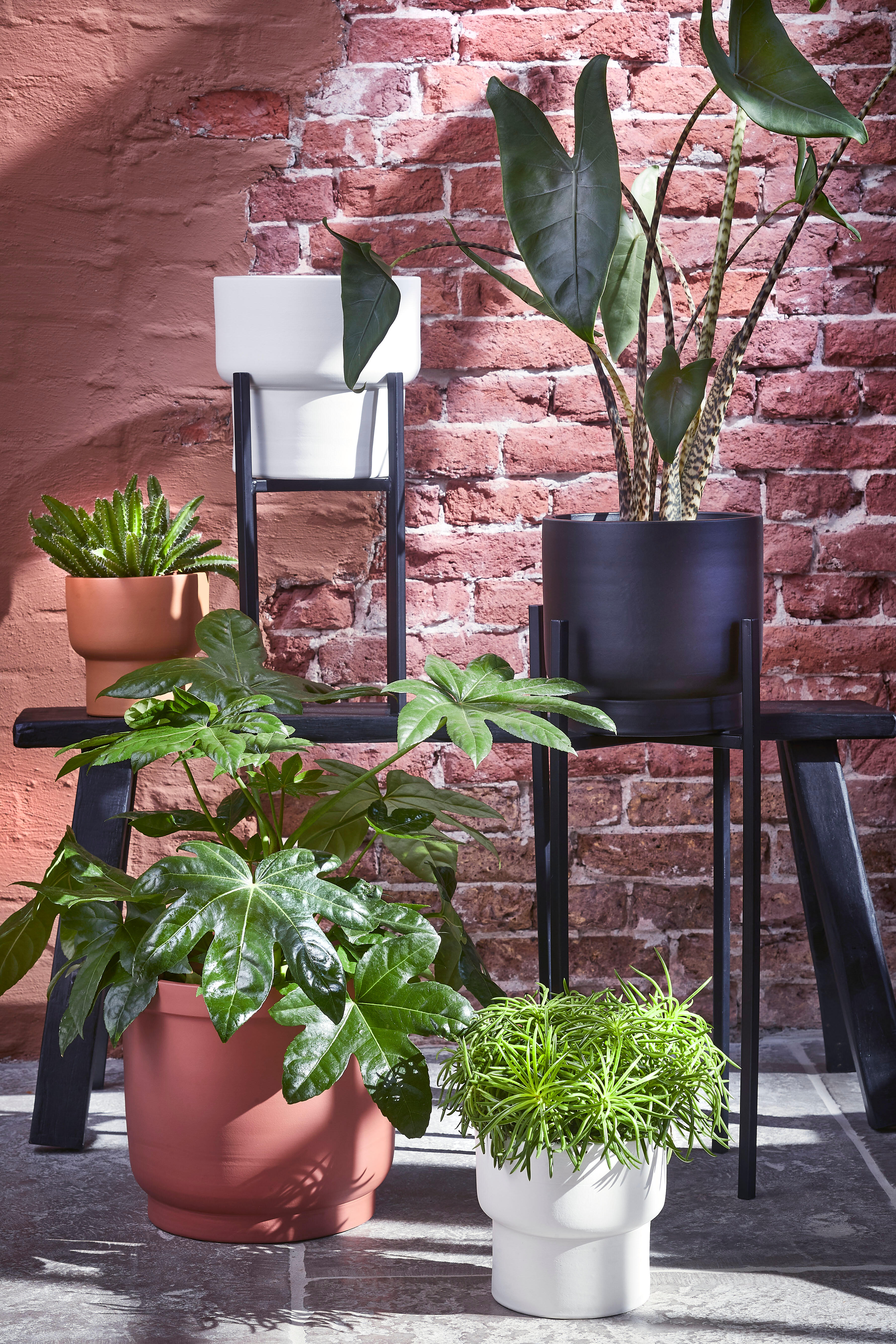 Maceta de terracota Riva blanca ø 22 cm - 2
