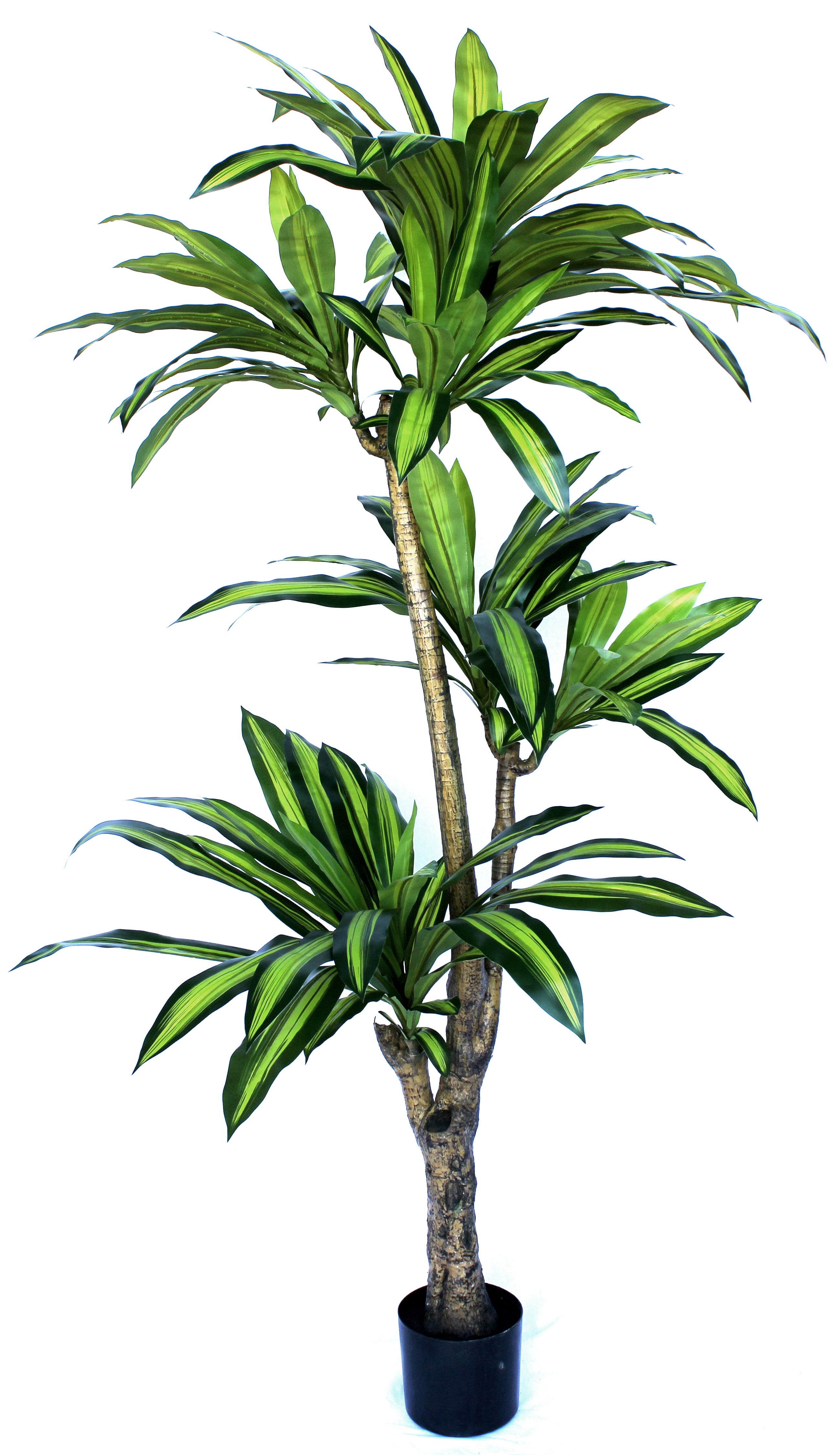 Árbol artificial dracena de 195 cm de altura en maceta de 16 cm de ⌀