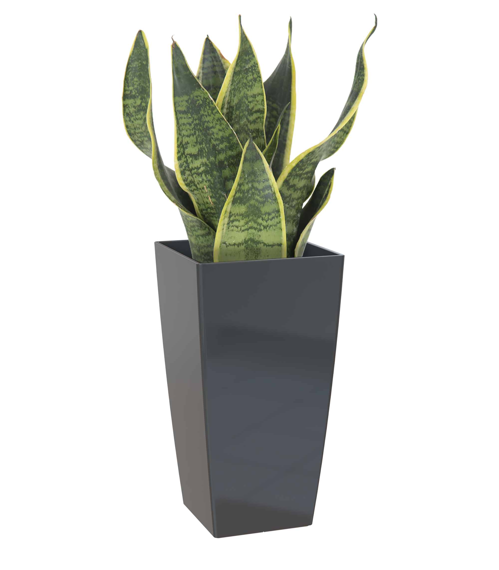 Vaso PISA 25CM ANTRACITE - 2