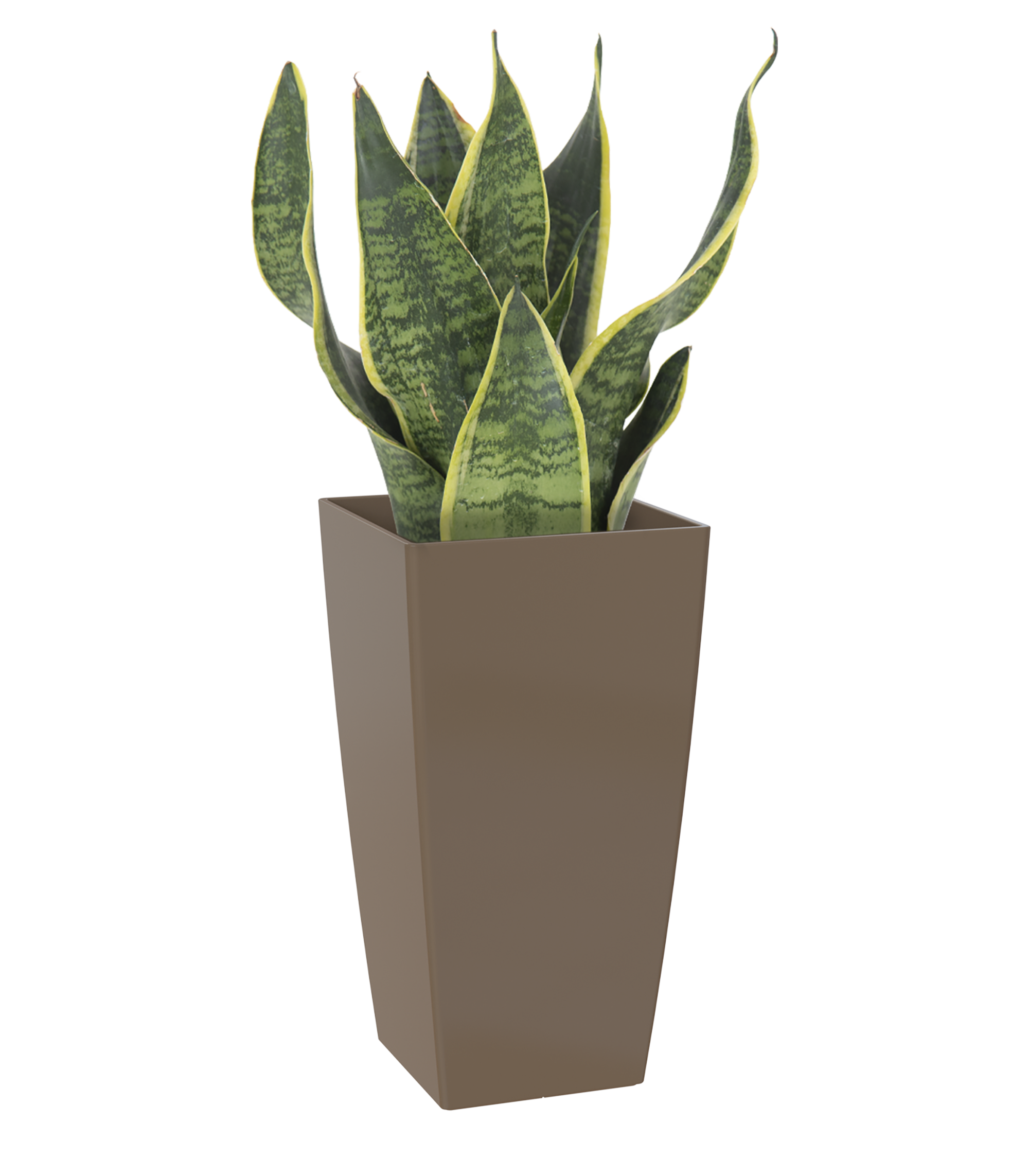 Maceta cuadrada alta pisa topo 22x22x41cm