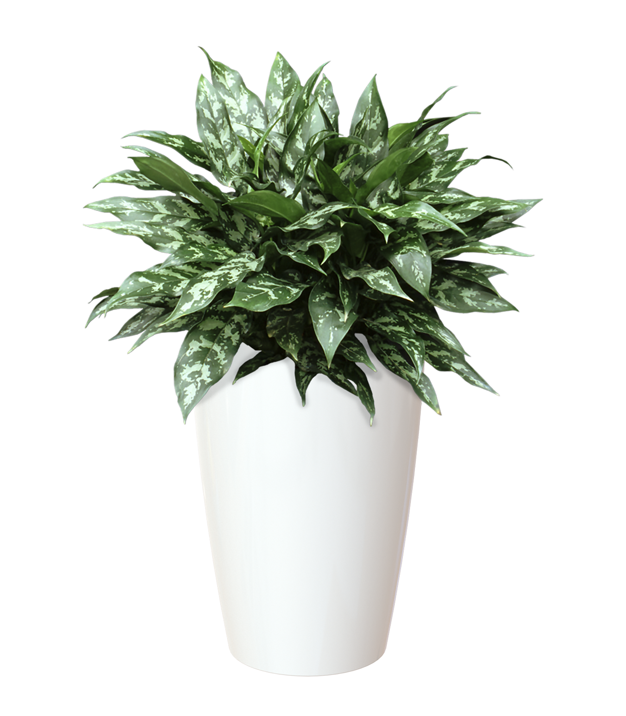 Vaso de resina SANTORINI 78CM BRANCO - 2