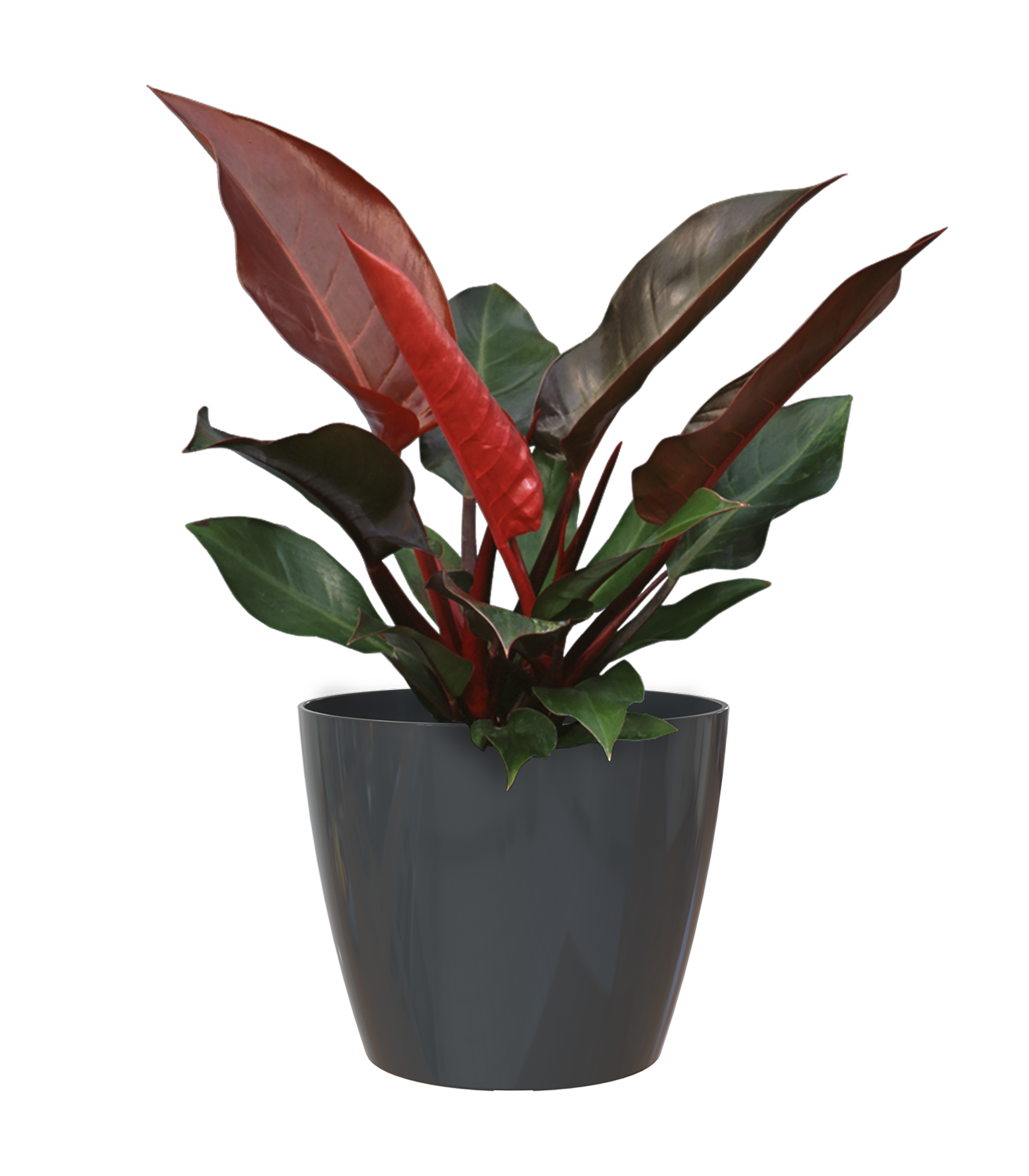 Vaso Sanremo ARTEVASI in polipropilene antracite lucido H 23 x ø 25 cm - 9