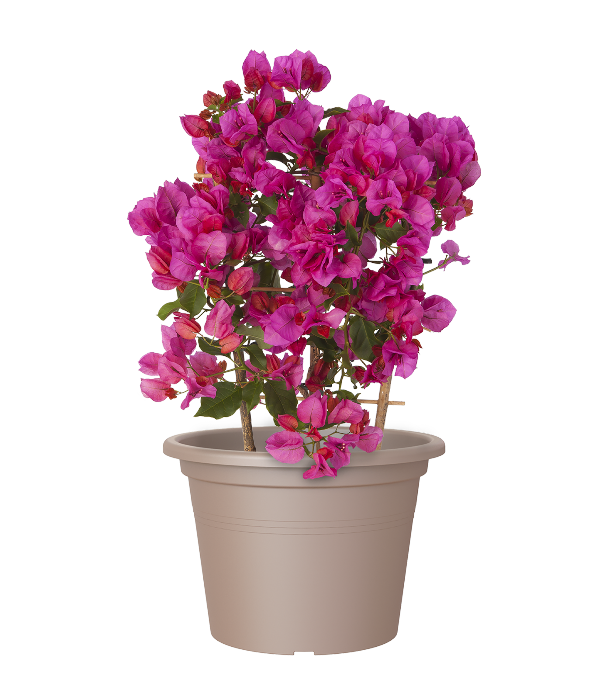 Vaso de resina VENEZIA CILINDRO 70CM TORTORA - 10