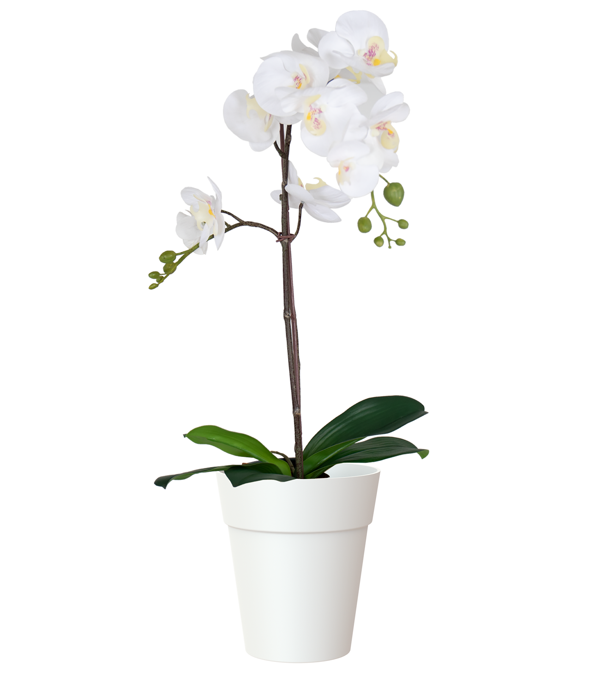 Maceta redonda de resina ARTEVASI Capri ø 13.7 cm y 15 cm altura blanco - 3
