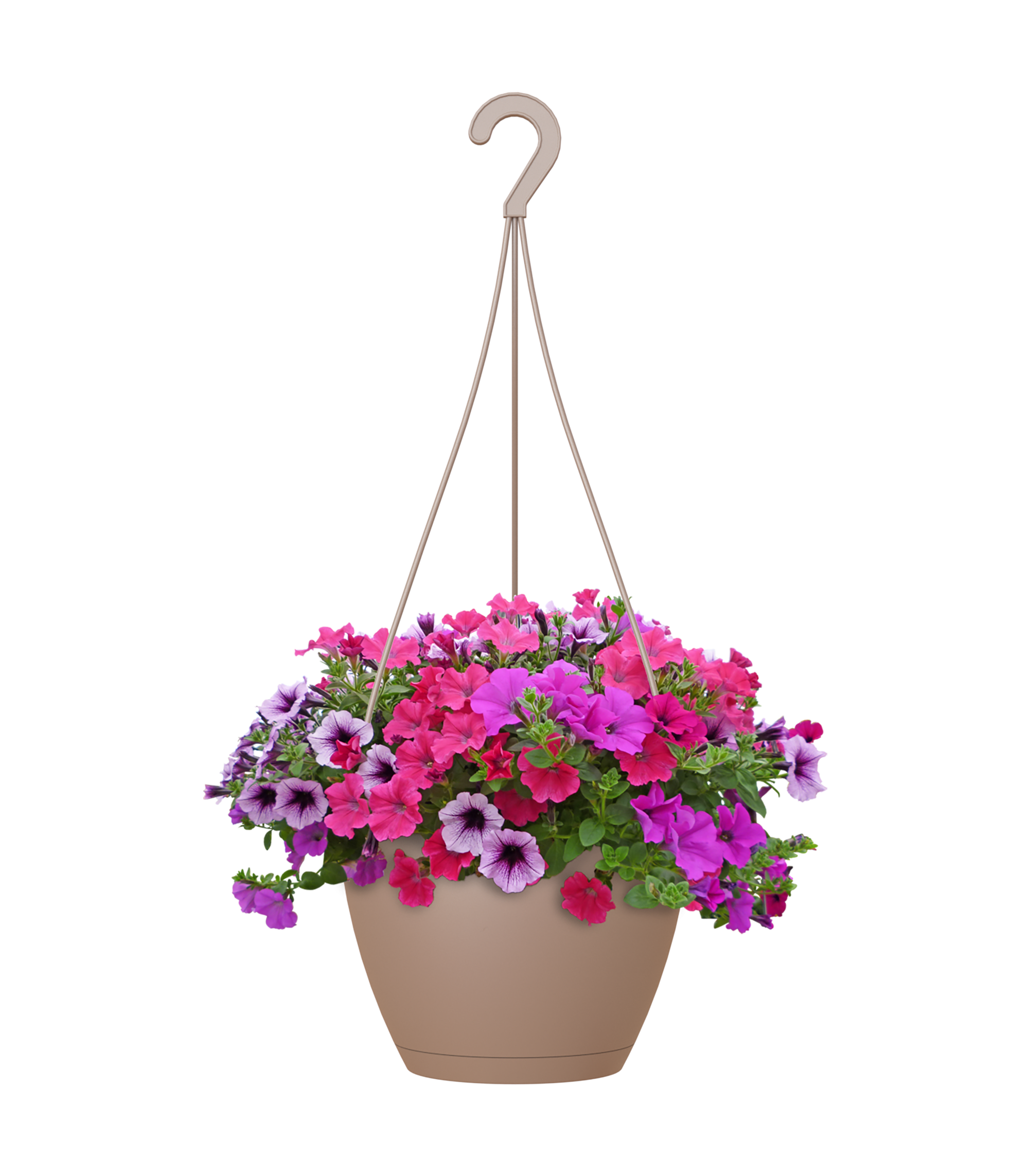 Maceta colgar algarve topo ø 31 cm