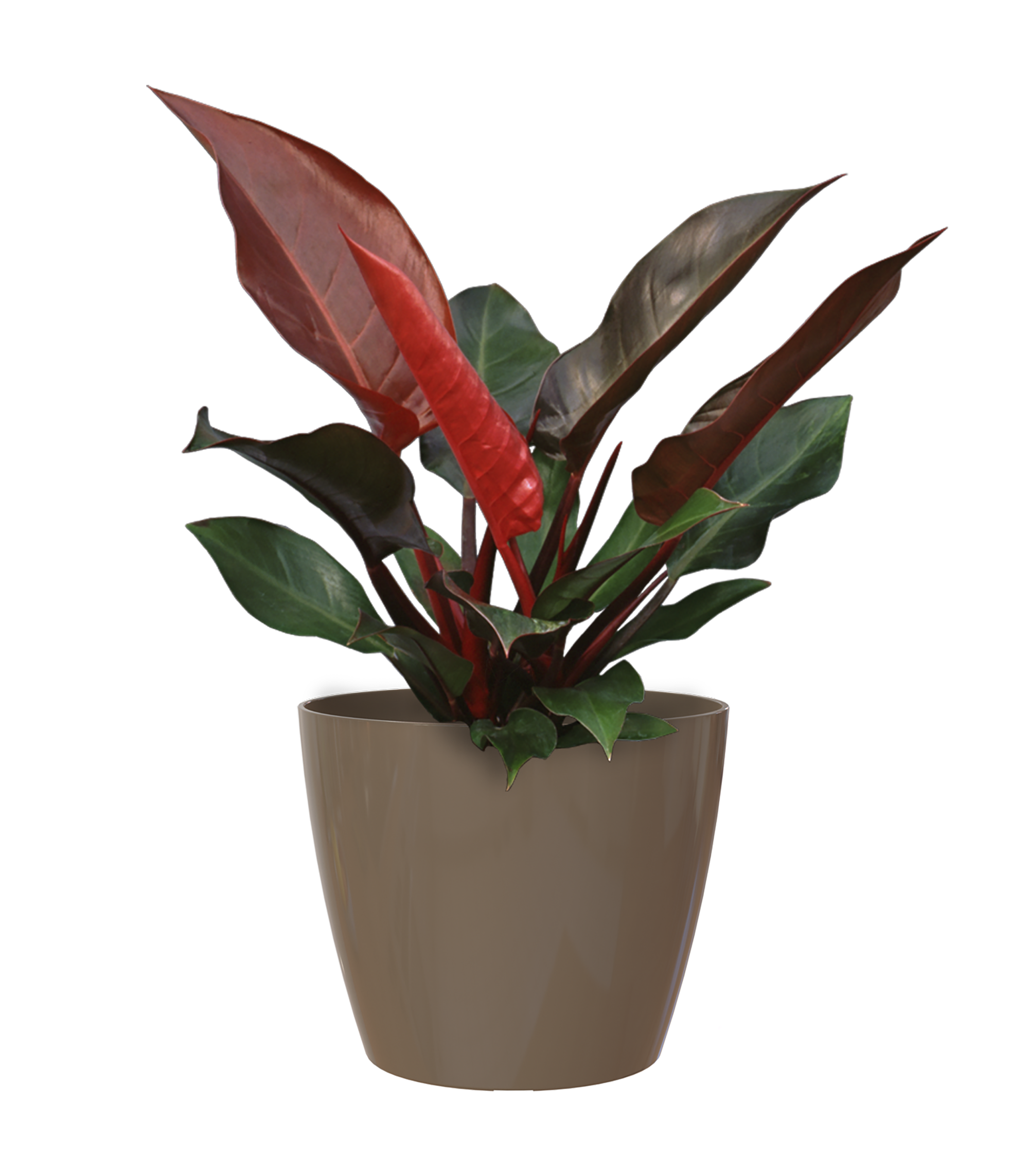 Maceta redonda de resina artevasi san remo ø 8 cm y 7.3 cm altura marrón topo