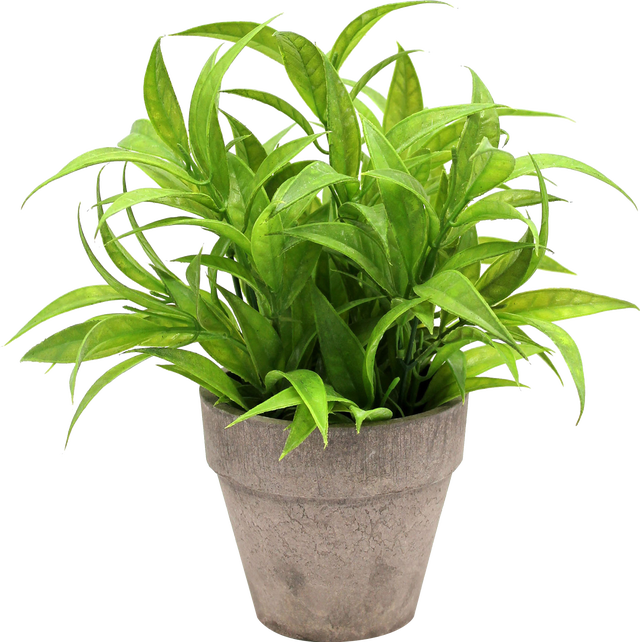 Planta artificial Verde Oscuro de 26 cm en maceta de 11 cm