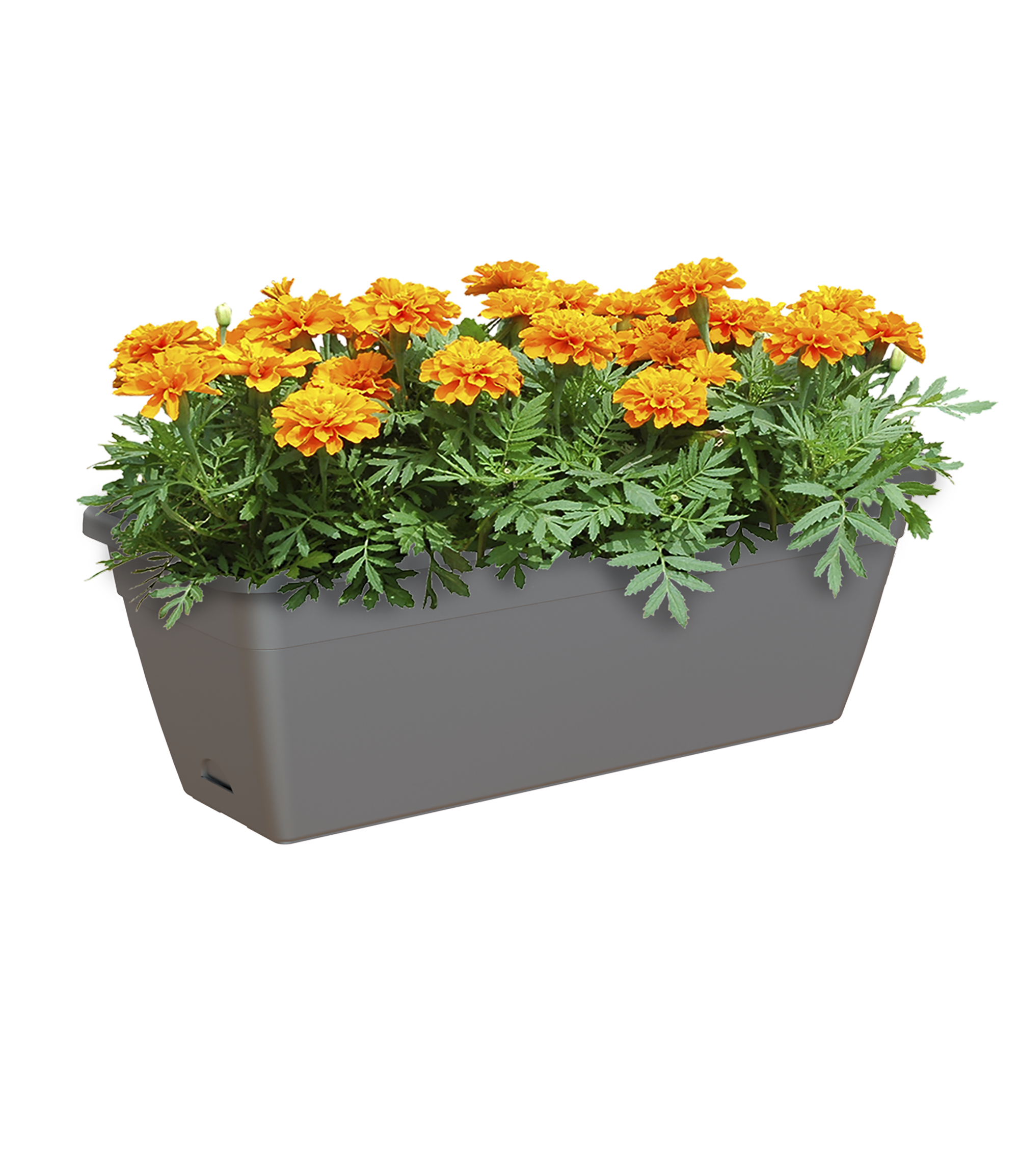 Floreira de resina VENEZA 50CM ANTRACITE - 5