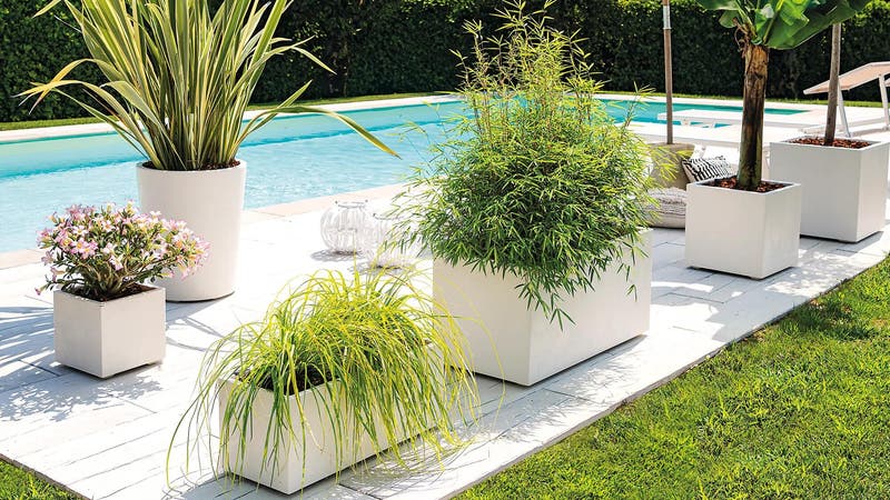 Jardineras para interior y exterior: ¡encuentra el estilo perfecto!