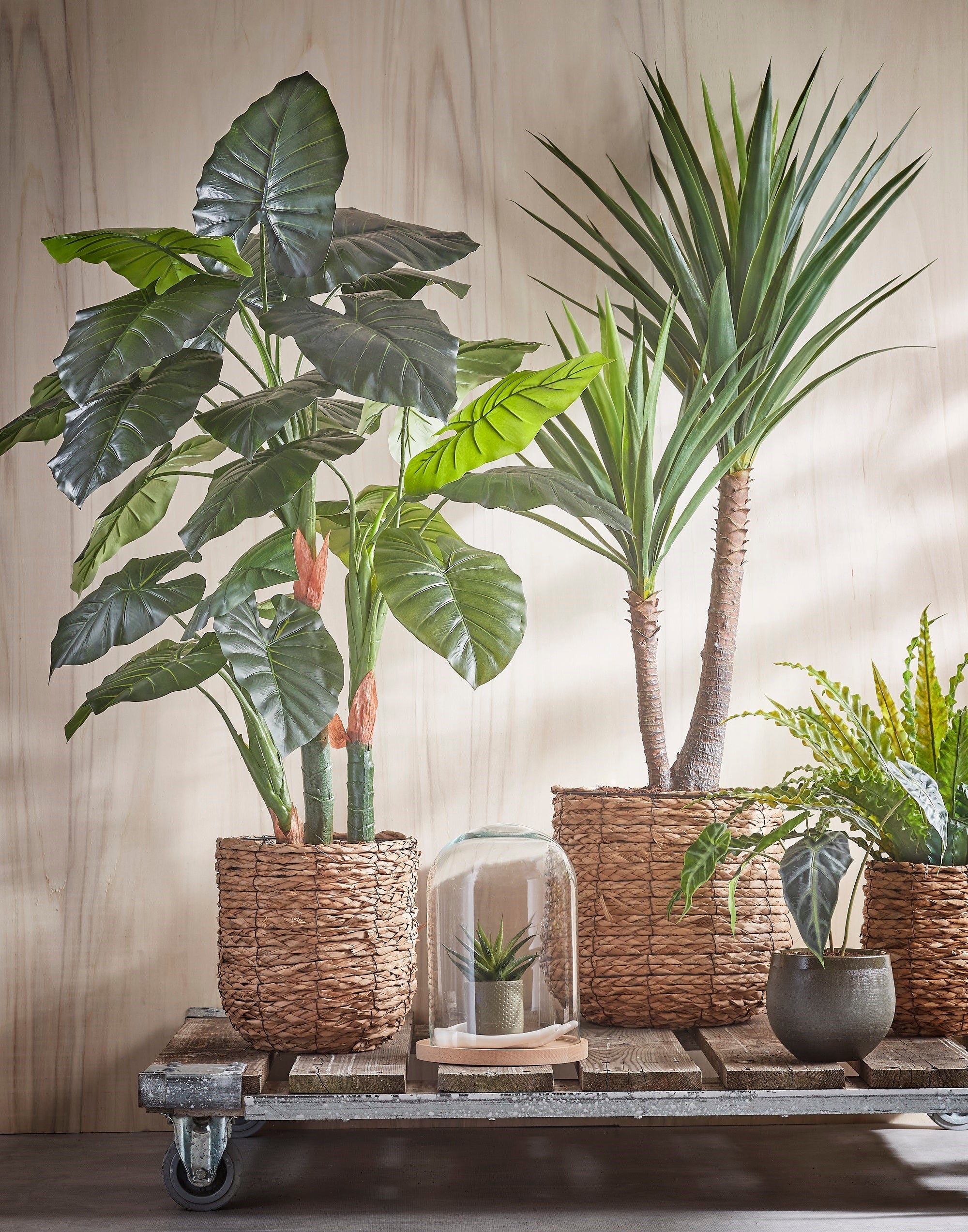 Planta artificial Yuca de 120 cm en maceta de 17 cm - 3