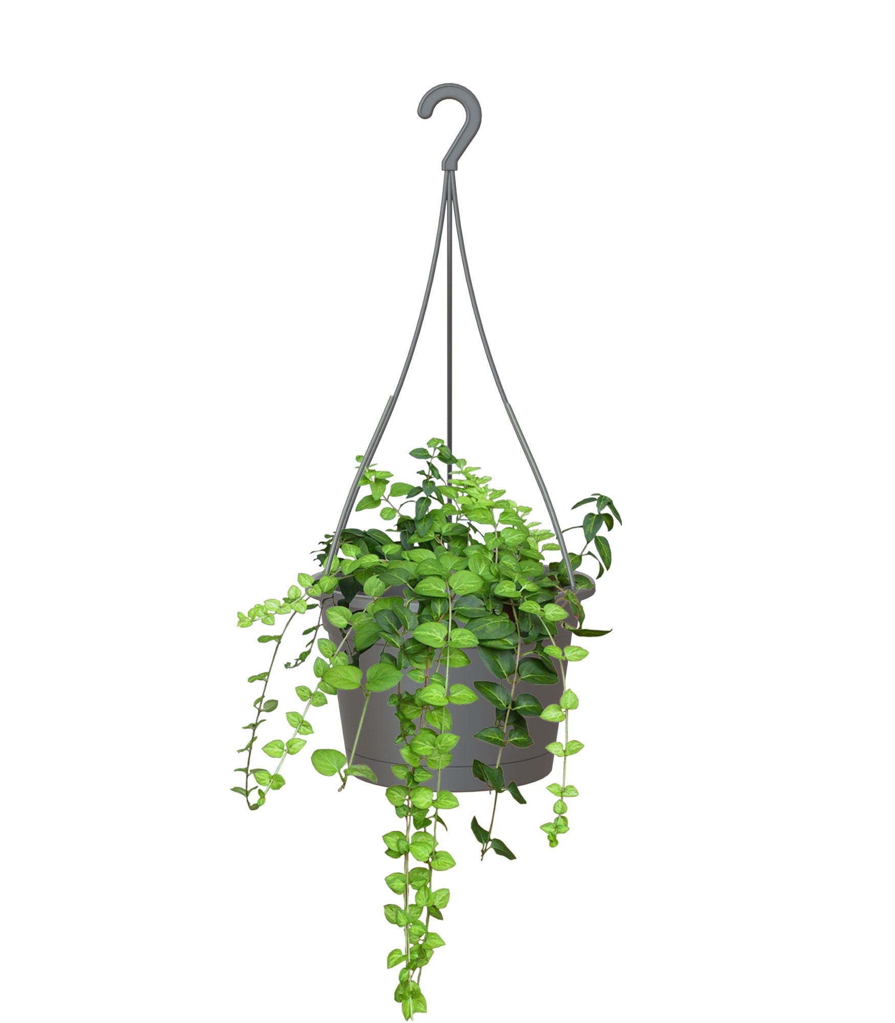 Vaso con supporto ARTEVASI Madagascar in polipropilene antracite H 17.9 x ø 27 cm - 3