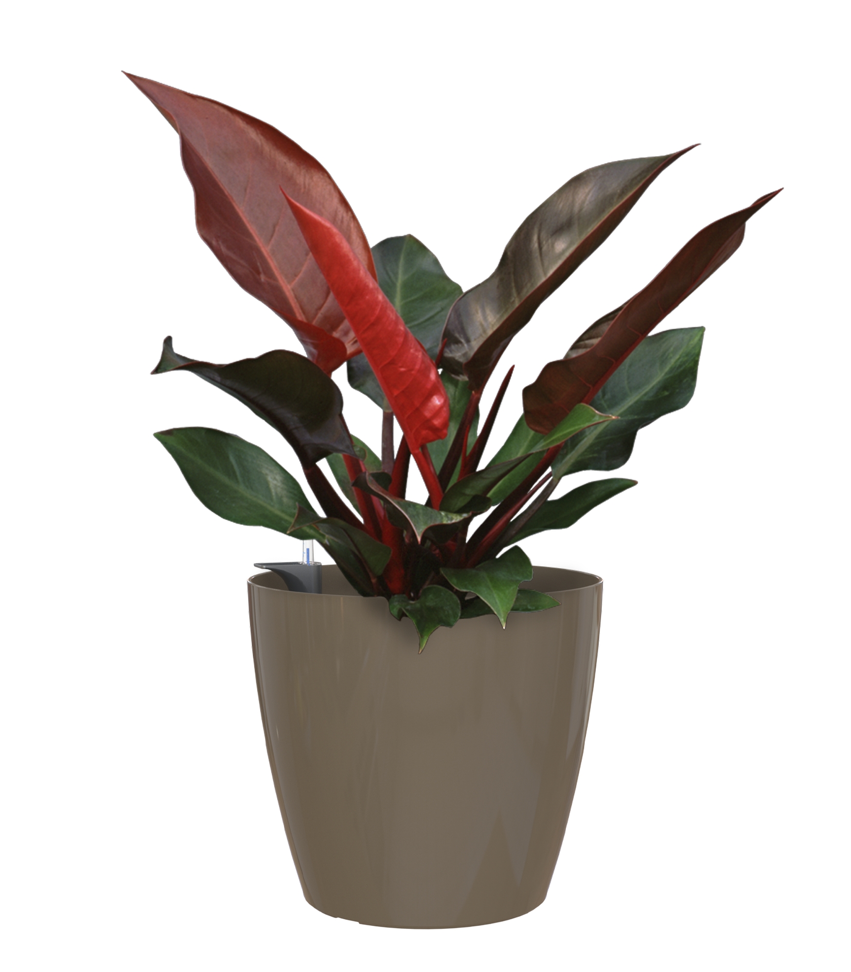 Maceta auto riego de polipropileno san remo marrón 30x30x27.3cm