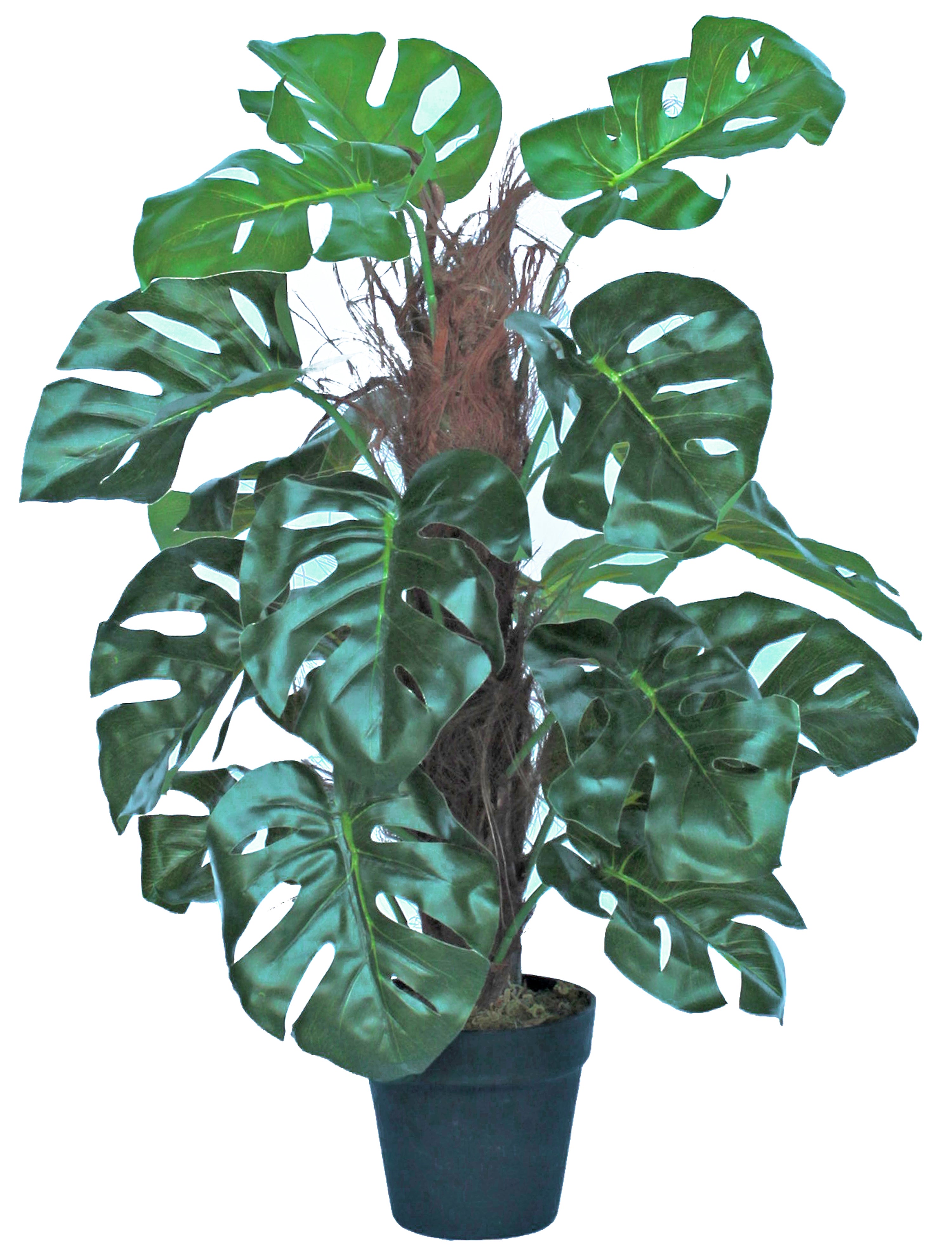 Sinder  Planta Artificial Tutor Monstera De 60 Cm De Altura En Maceta De 14 Cm Verde , Leroy Merlin