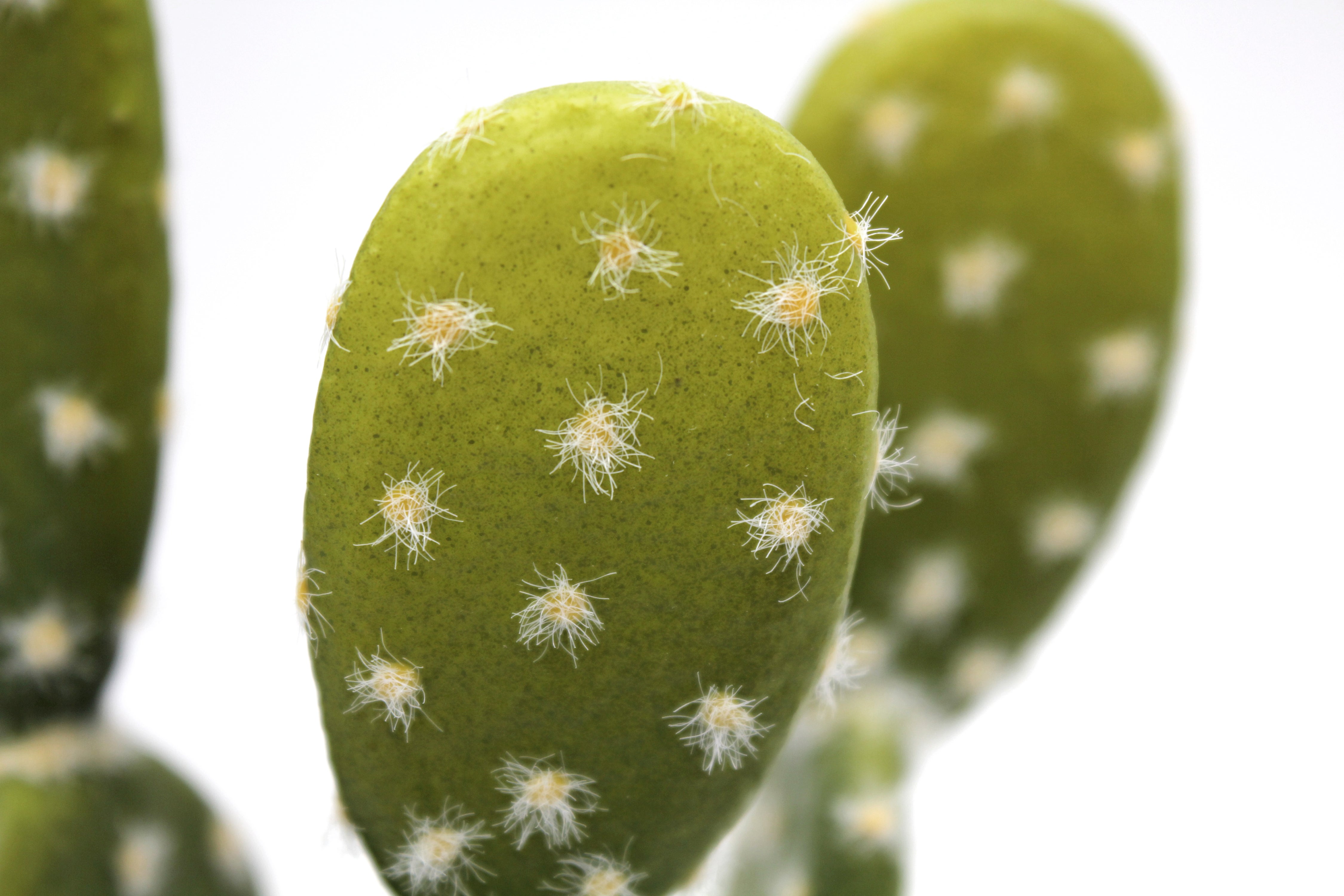 Planta artificial Cactus de 20 cm de altura en maceta de 7.5 cm - 3
