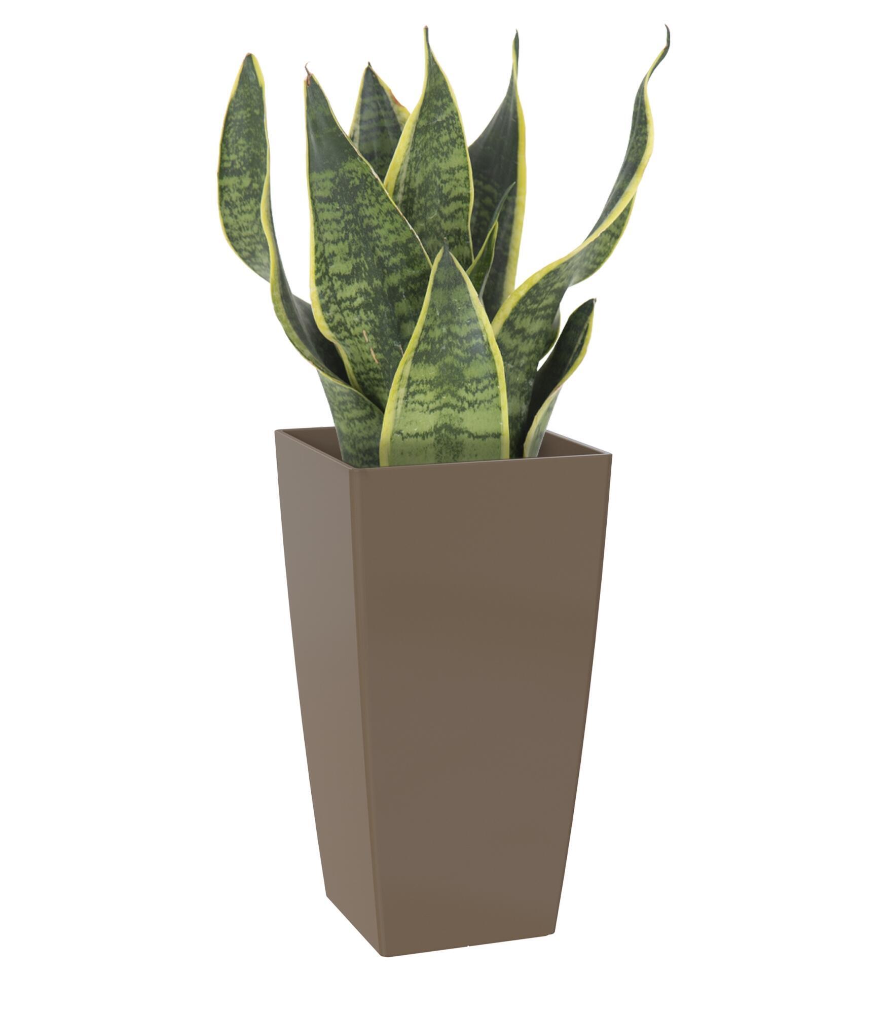 Maceta cuadrada alta pisa topo 40x40x78cm