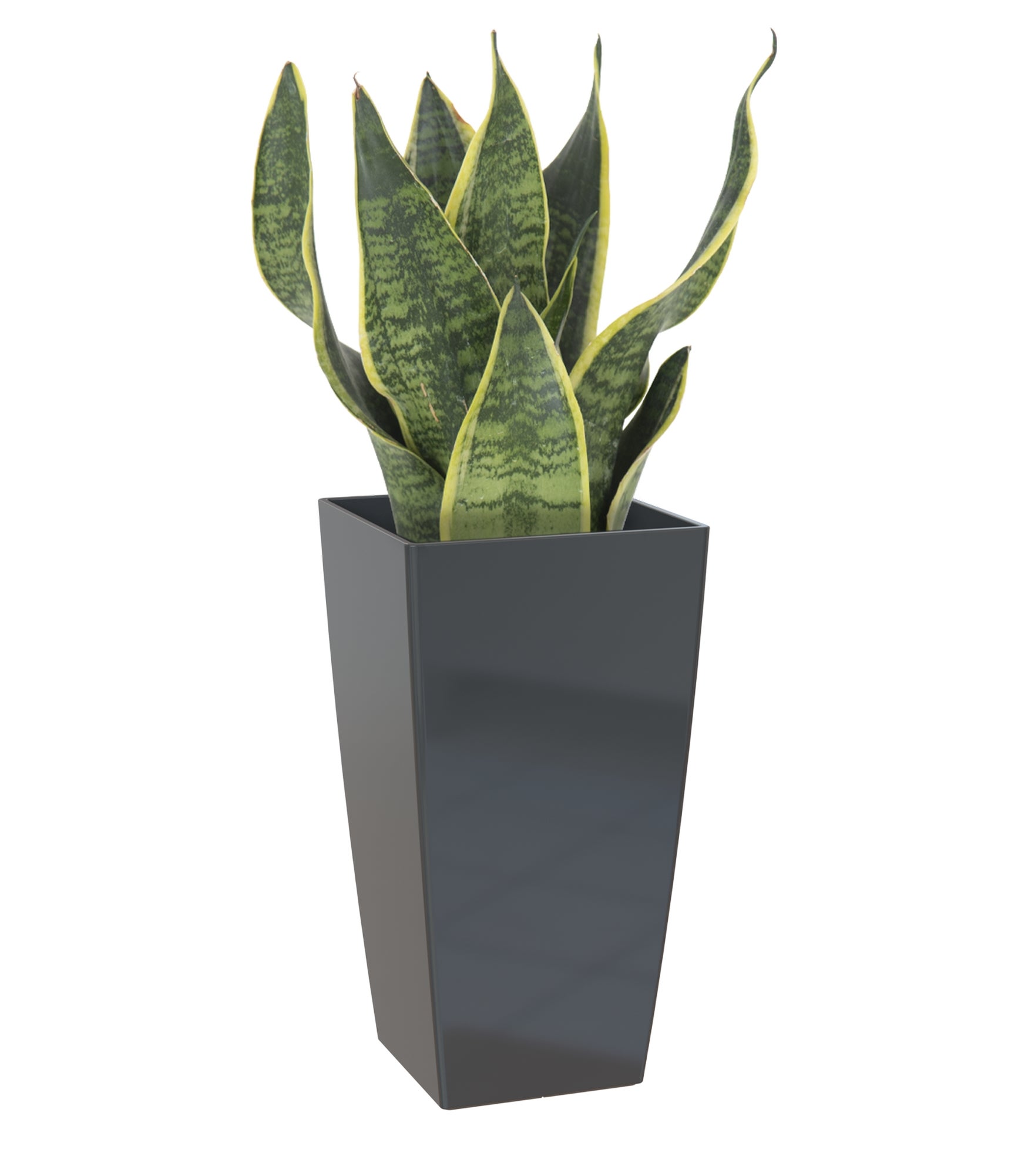 Maceta cuadrada alta pisa antracita 40x40x78cm