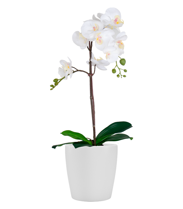 Maceta redonda de cerámica ARTEVASI Thalia ø 14 cm y 14 cm altura blanco
