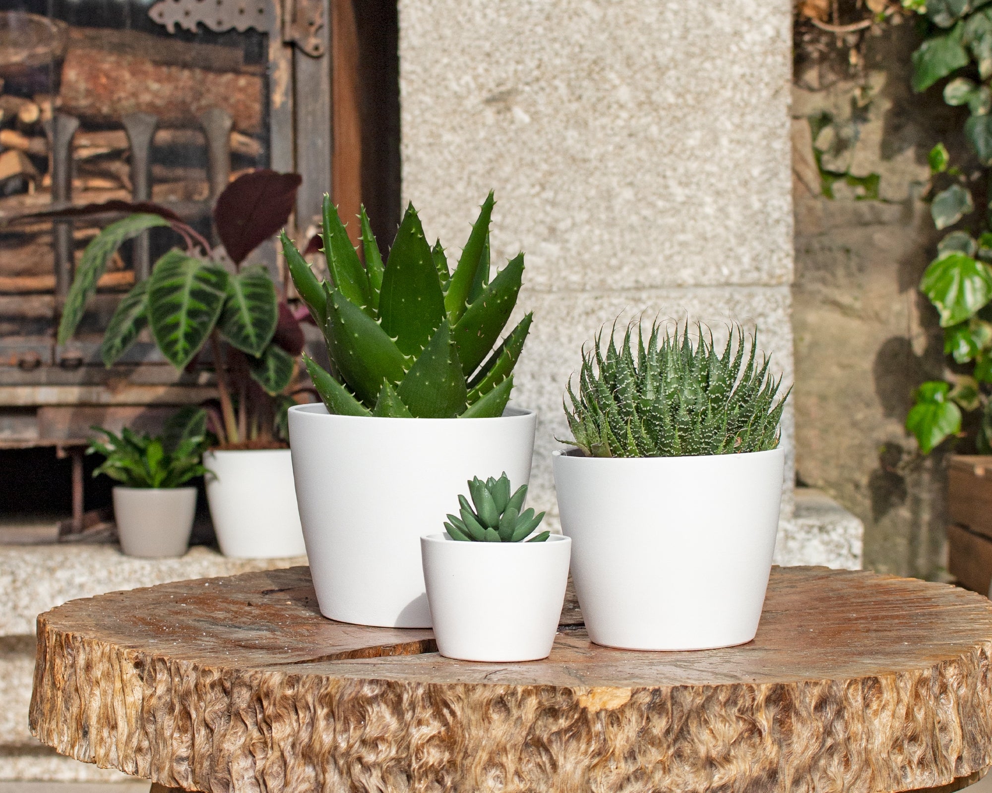 Maceta cónica de arcilla ARTEVASI Núbia ø 15 cm y 12 cm altura blanco - 5