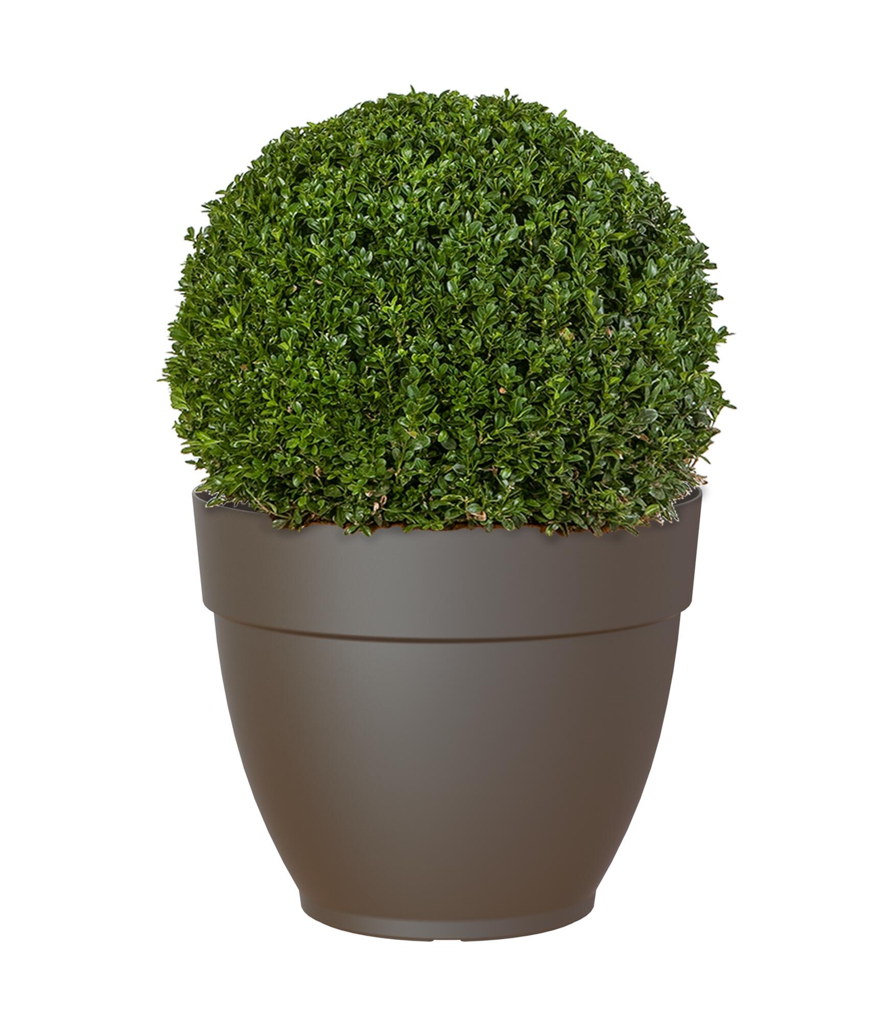 Maceta de polipropileno capri campana marrón ø 70 cm