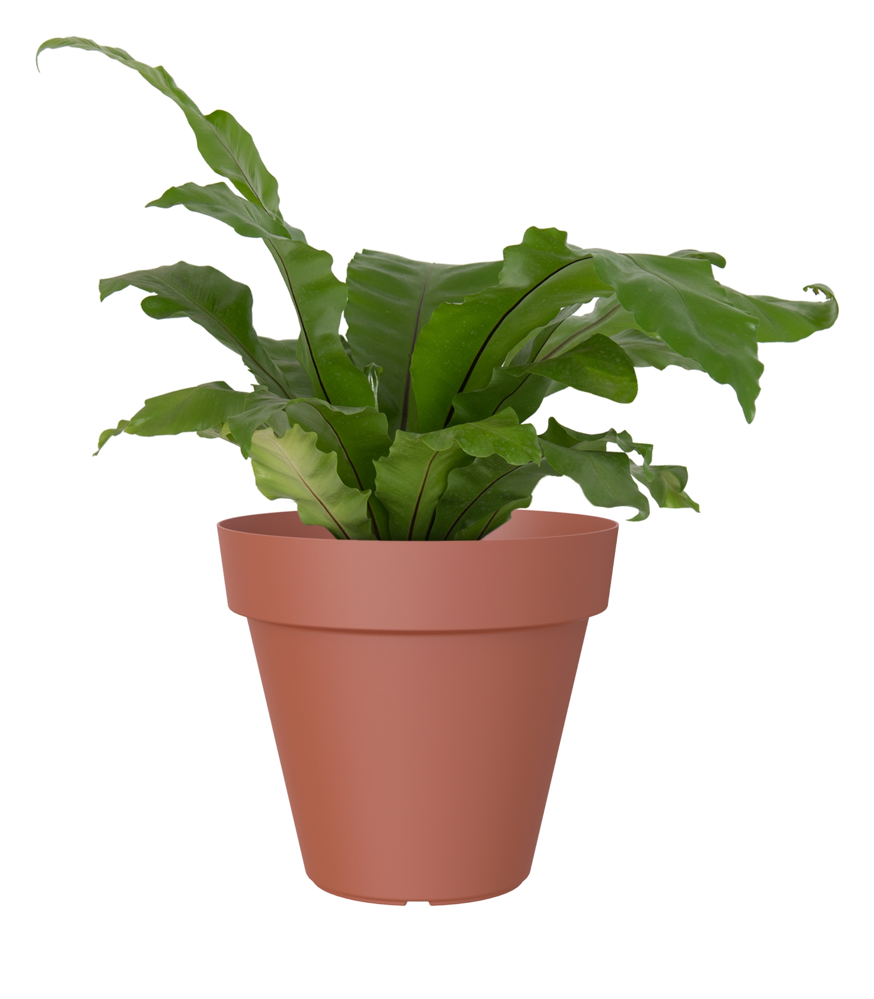 Maceta de polipropileno capri terra de ø 30 cm