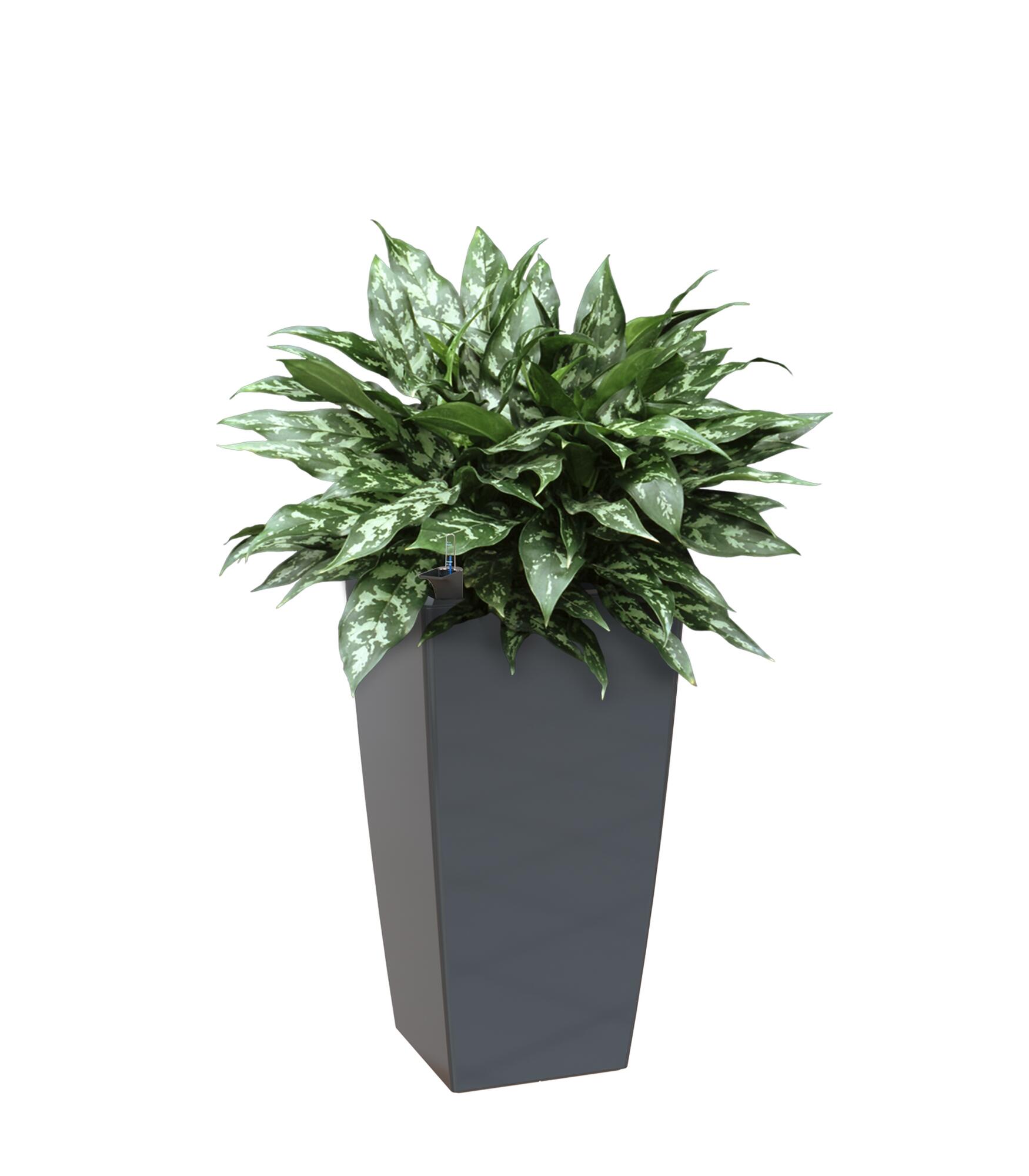 Maceta auto riego de polipropileno pisa gris / plata 40x40x78cm