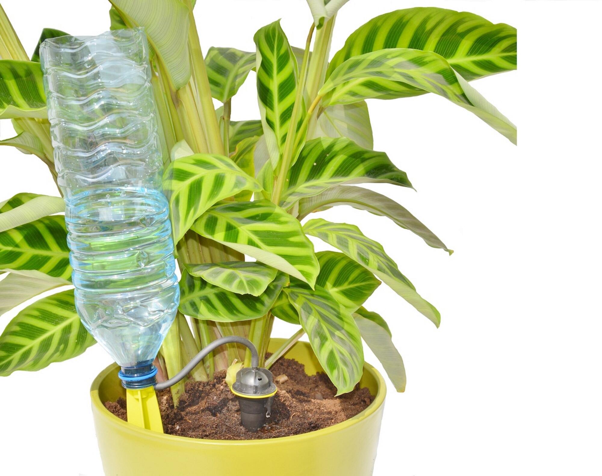Sistema gota a gota con 11 caudales regulable según tipo de planta. 3+1 unidades - 4