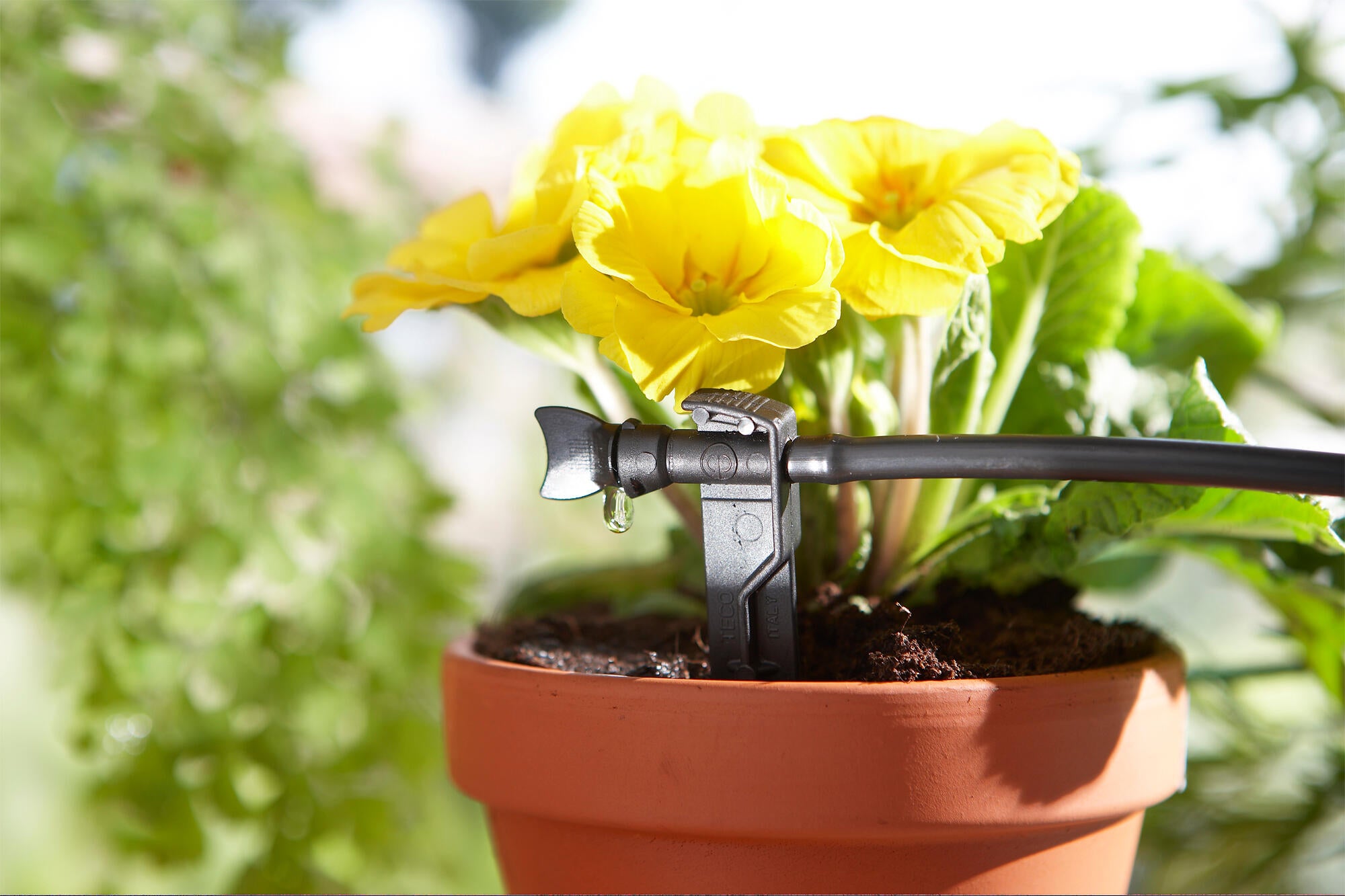 Pack 25 goteros Standard 0-6 L/H GEOLIA c/ soporte - 2