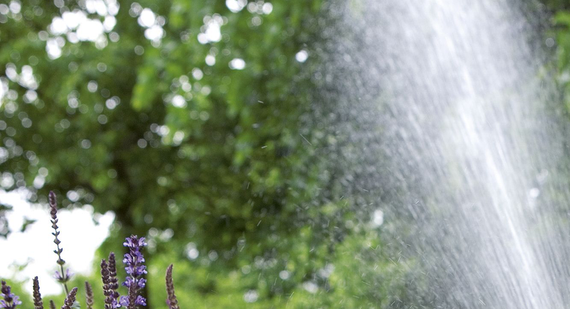 elegir aspersores | Leroy Merlin