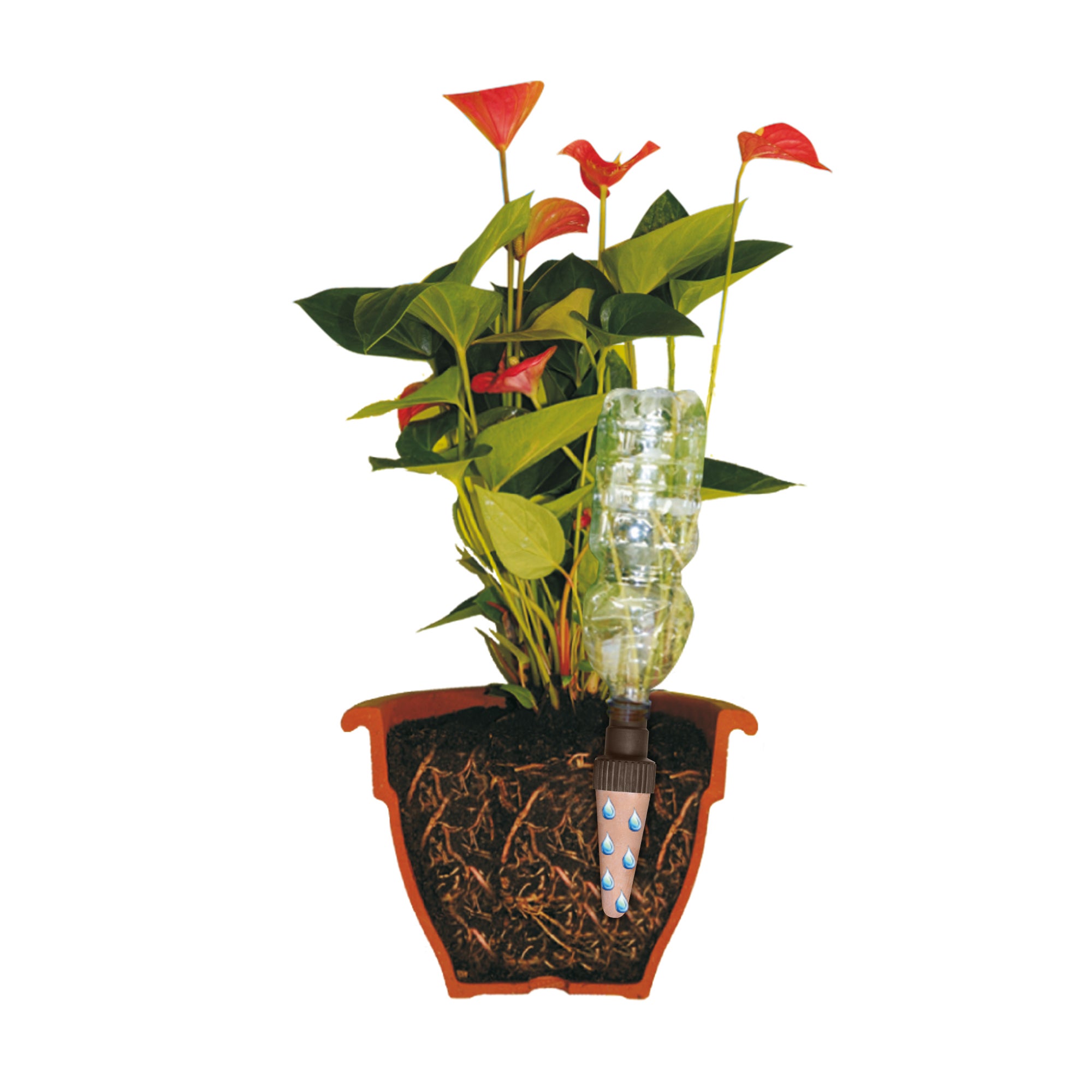 Gotero autónomo GEOLIA Acqua go maxi 3+1 gratis - 2