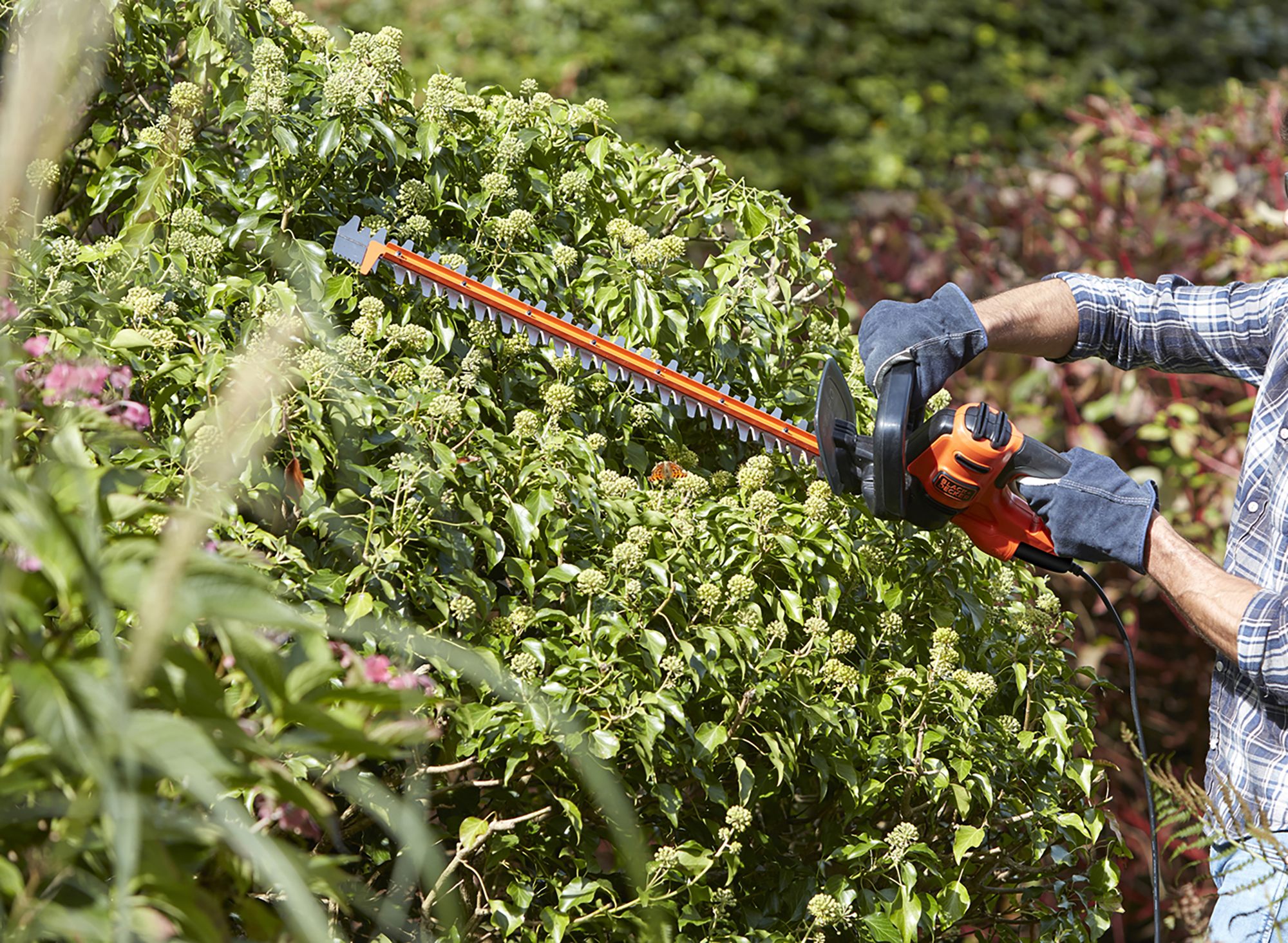 Corta-sebes elétrico BLACK + DECKER BEHT201-QS - 6