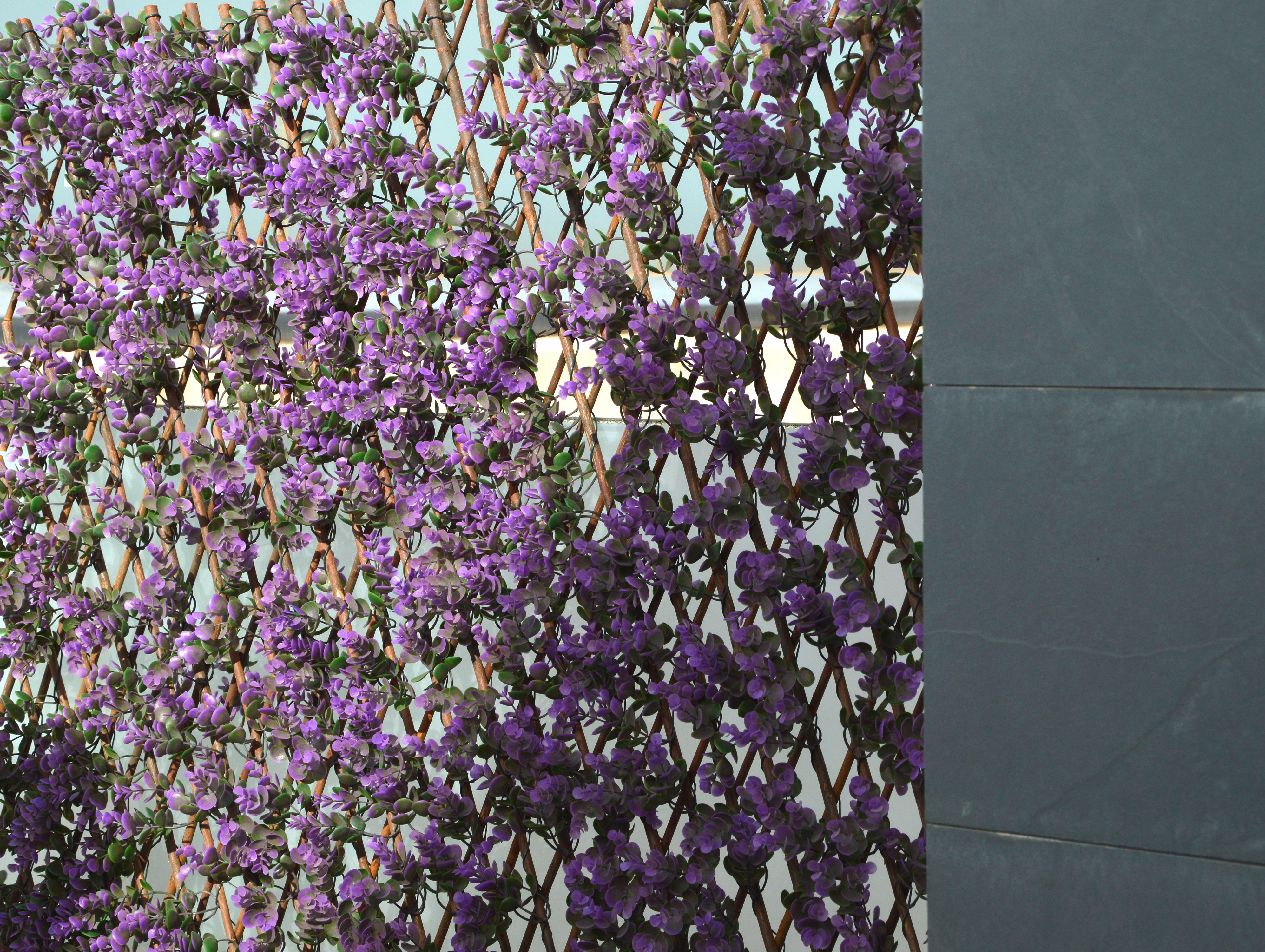 Treliça extensível LAVANDA 100X150CM 7X7CM - 2