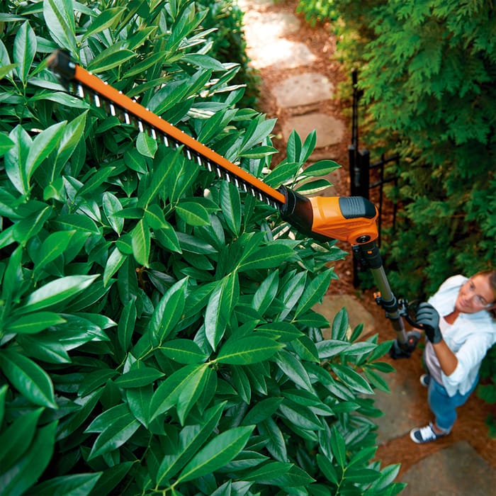Cortasetos pértiga a batería WORX