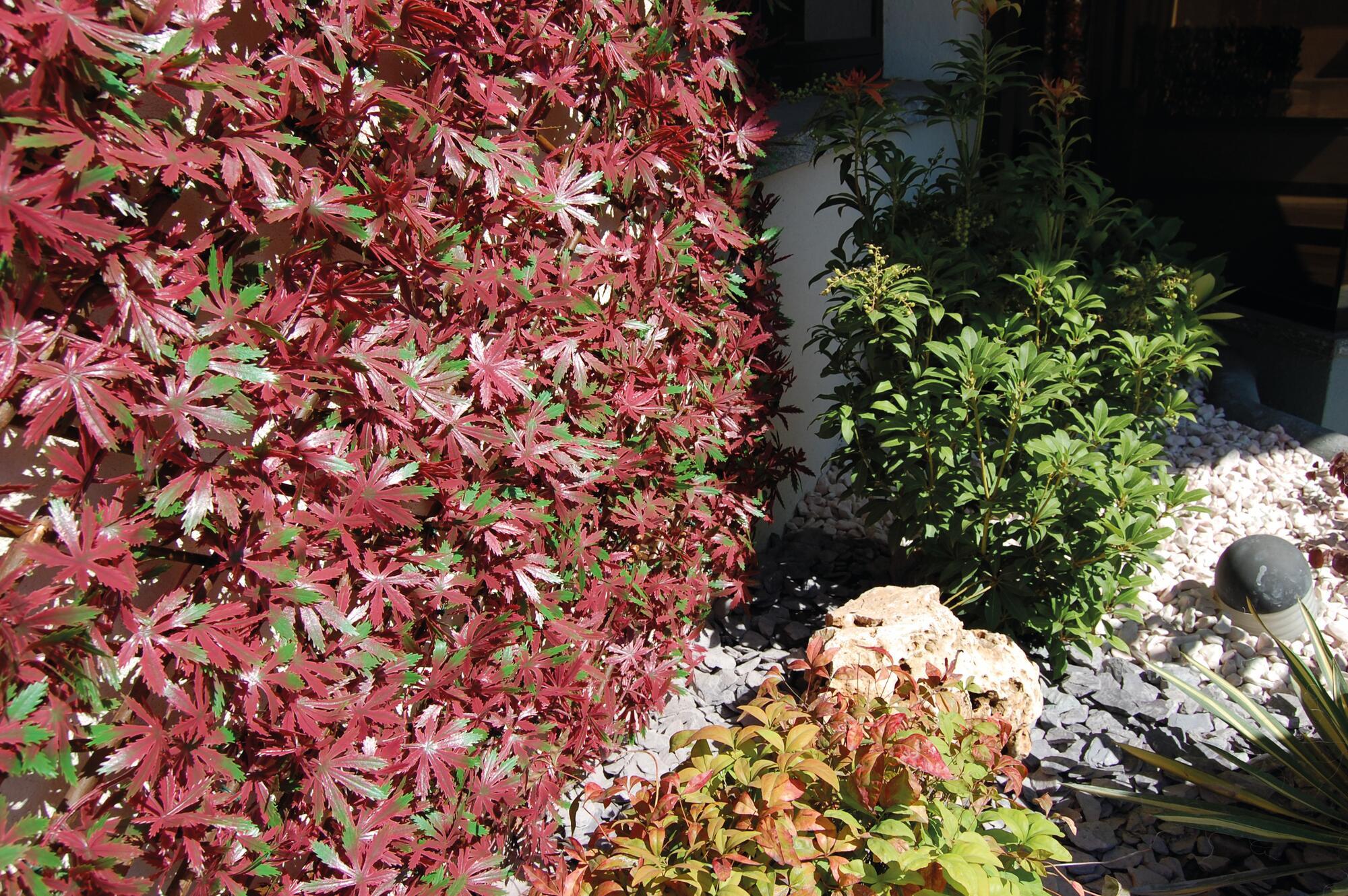 Jardín vertical artificial arce tenax 50x50 cm