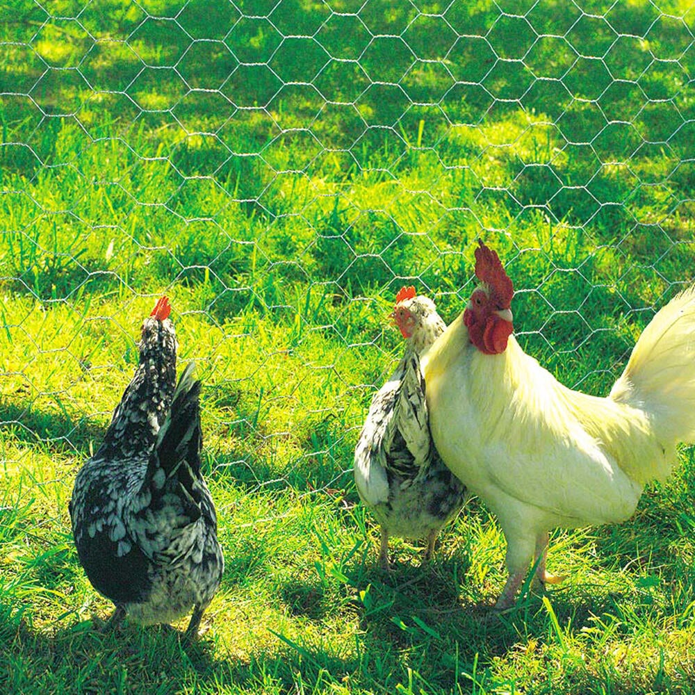 Malla metálica de simple torsión FENSANET19 de acero galvanizado 0.5x10m - 2