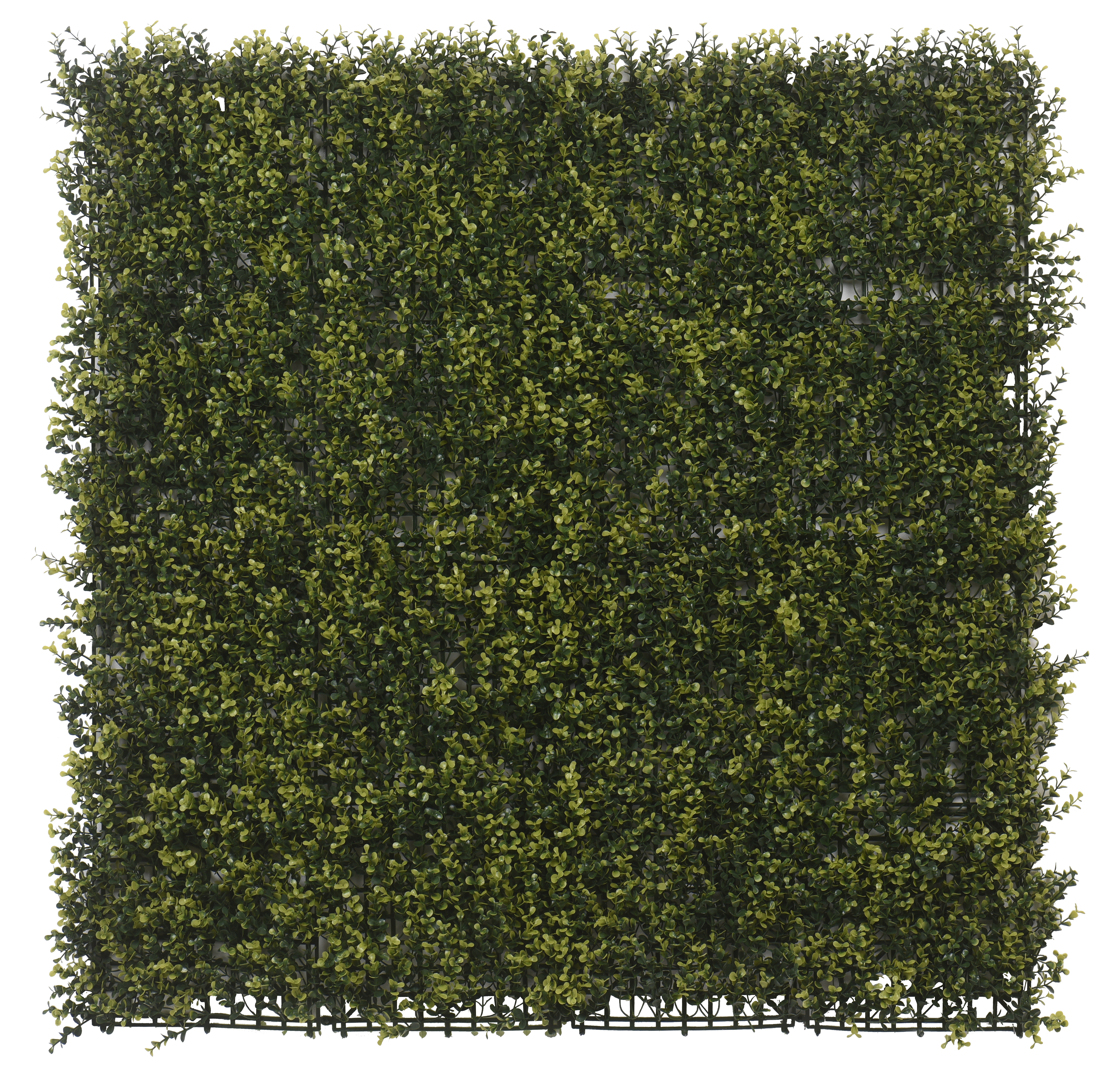 Jardín vertical artificial Boj amarillo y verde TENAX 100x100 cm - 3