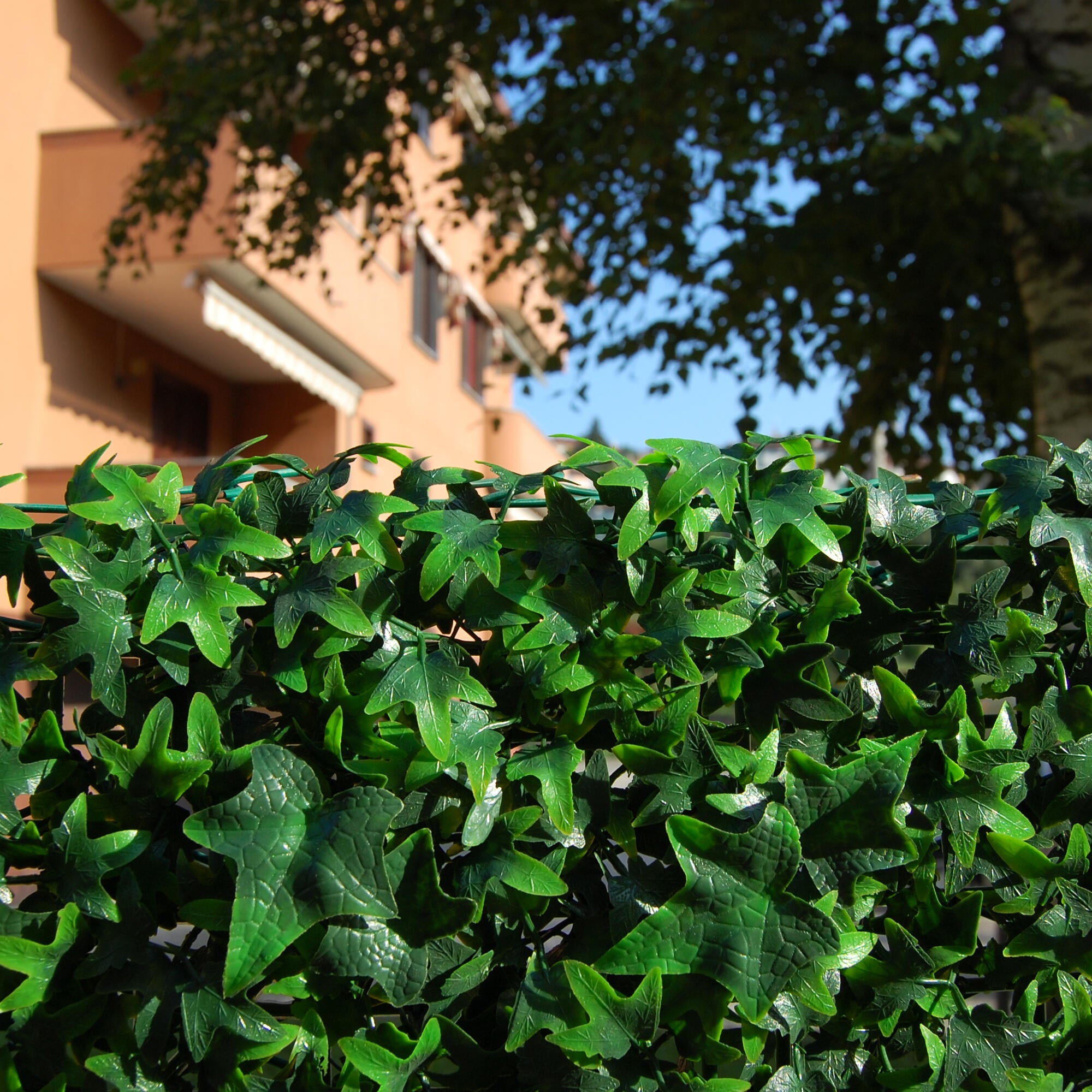 Giardino verticale parete Edera Divy 3D in polietilene alta densità, verde H 0.5 m x L 0.5 m - 4