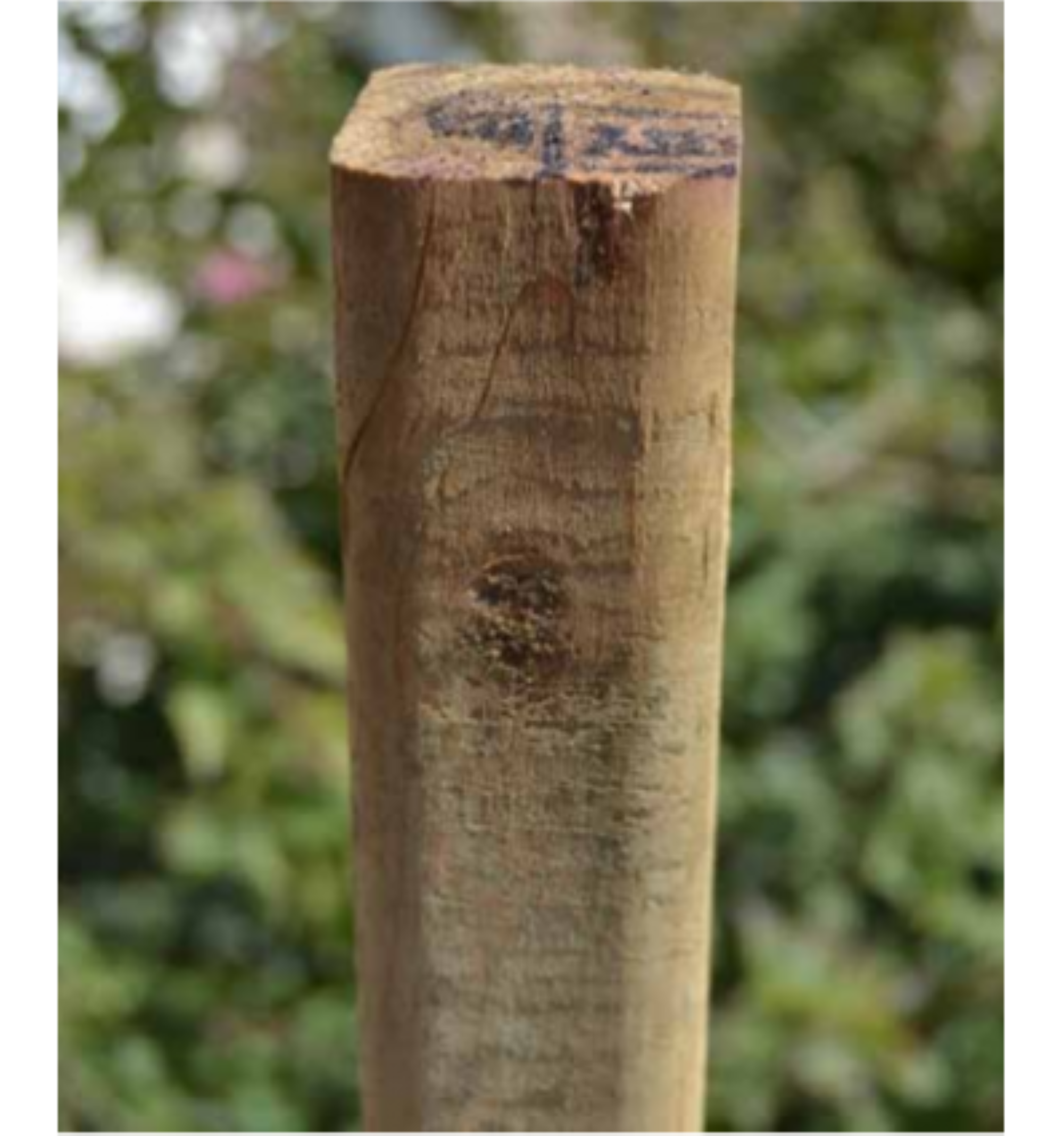 Poste de madera maciza 3/5 200 cm - 3