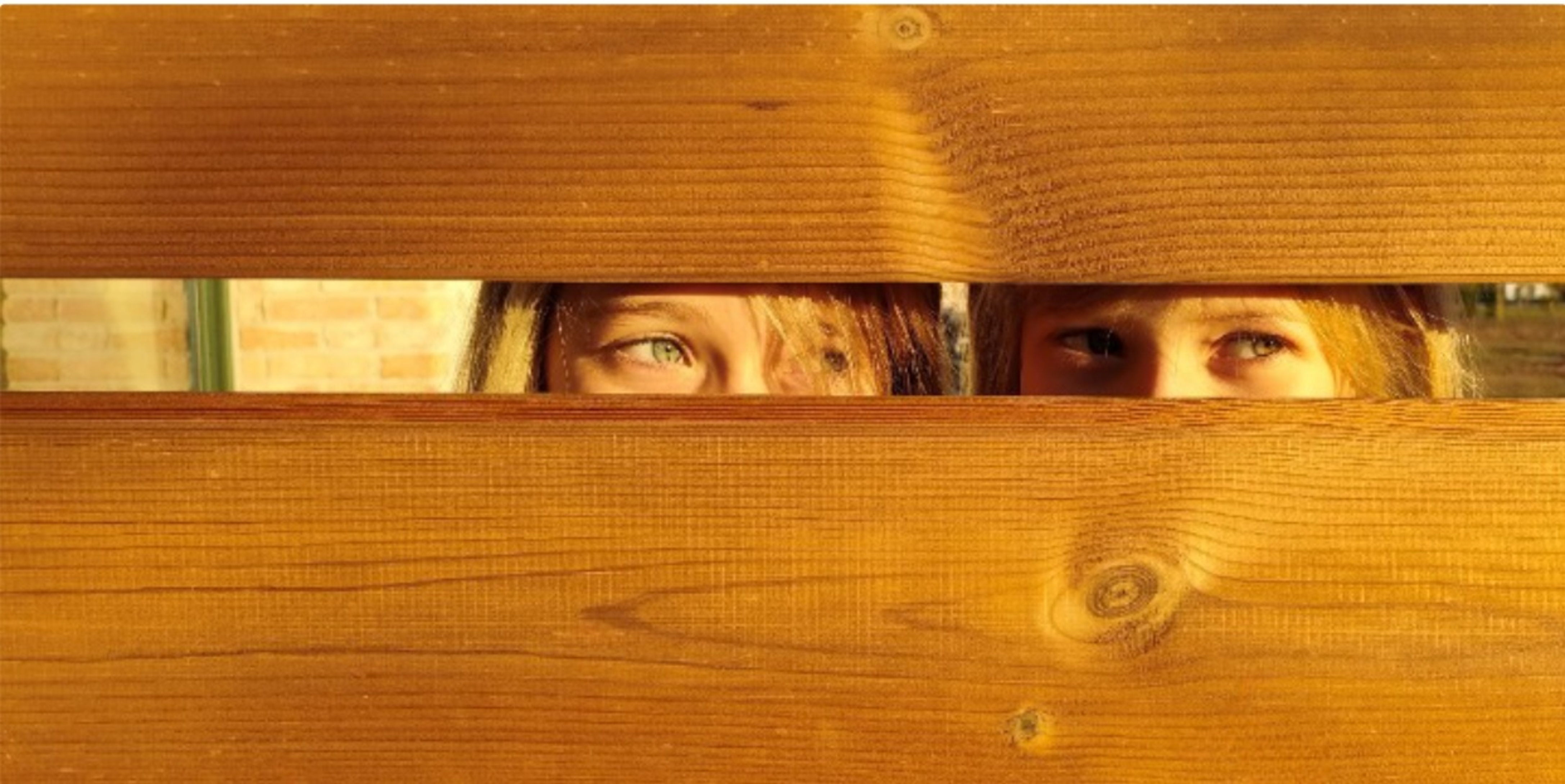 Lama para valla modulable de madera pino ONEK de 14.5 x 168 cm marrón - 7