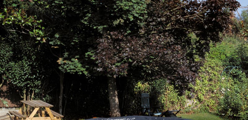 y mantener el agua de la piscina | Leroy Merlin