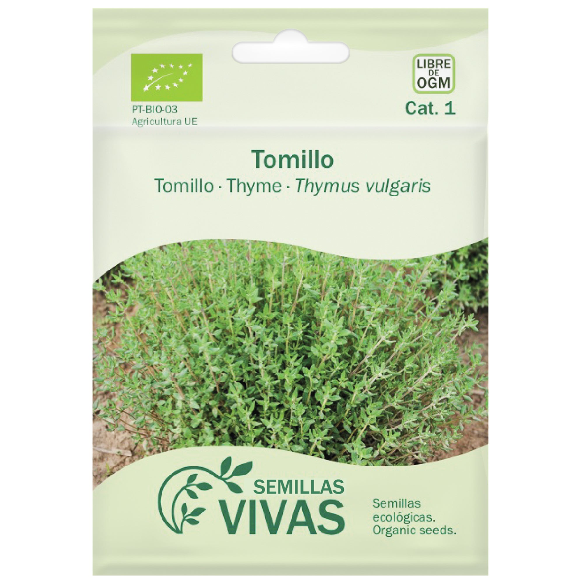 Semilla de tomillo